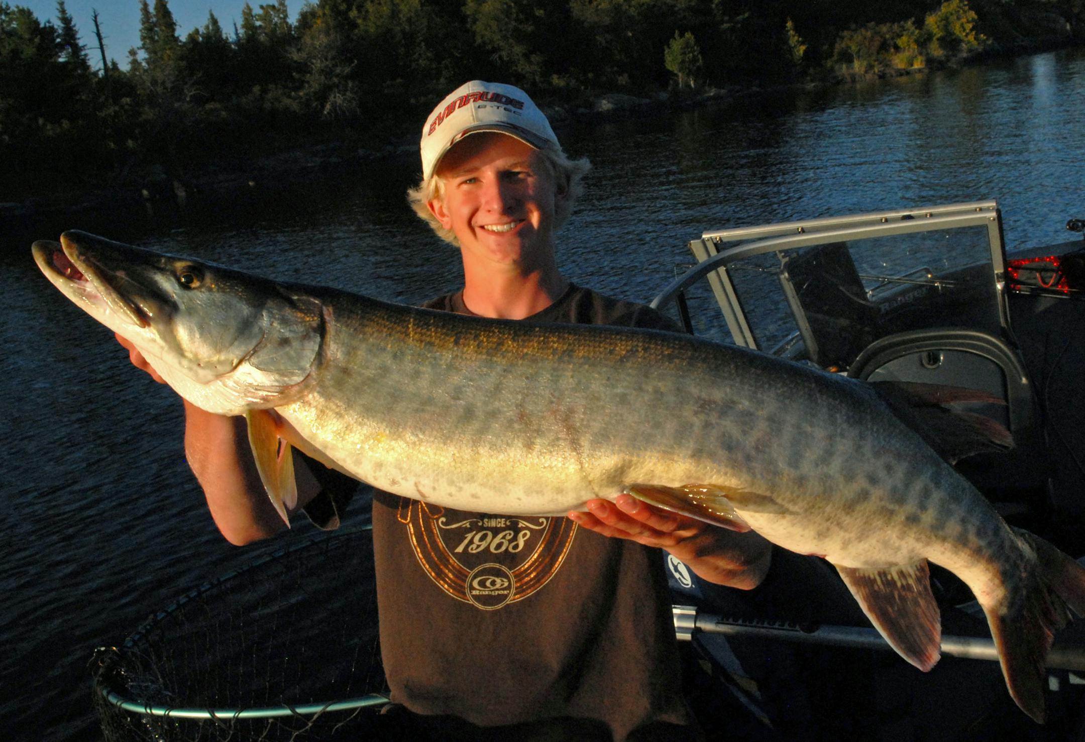 Big, bigger and biggest are sizes of muskies Lake of the Woods anglers can expect to see ‚Äî assuming such a fish is hooked. Last week's cold fronts cooled muskie action on the big lake, though this 40-incher was fooled by Cole Anderson.