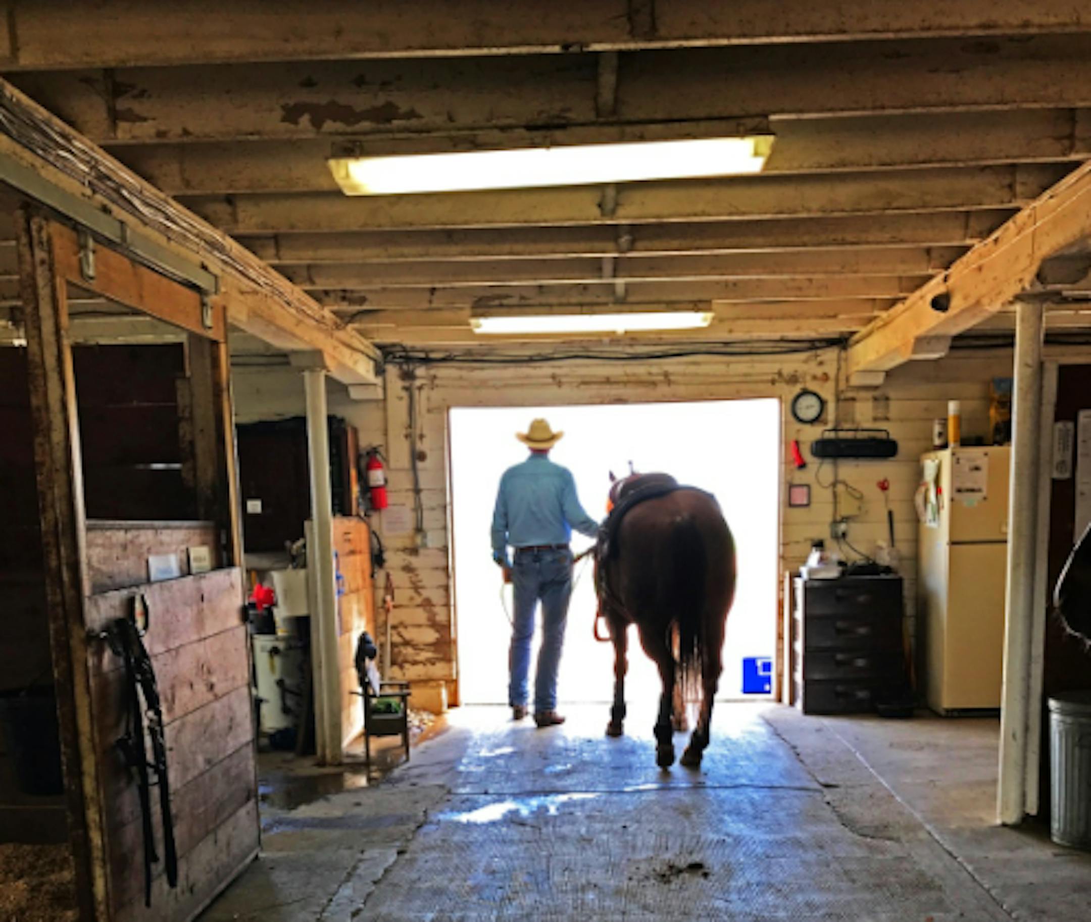 Cutting horses is a gamble always, but a worthy pursuit.