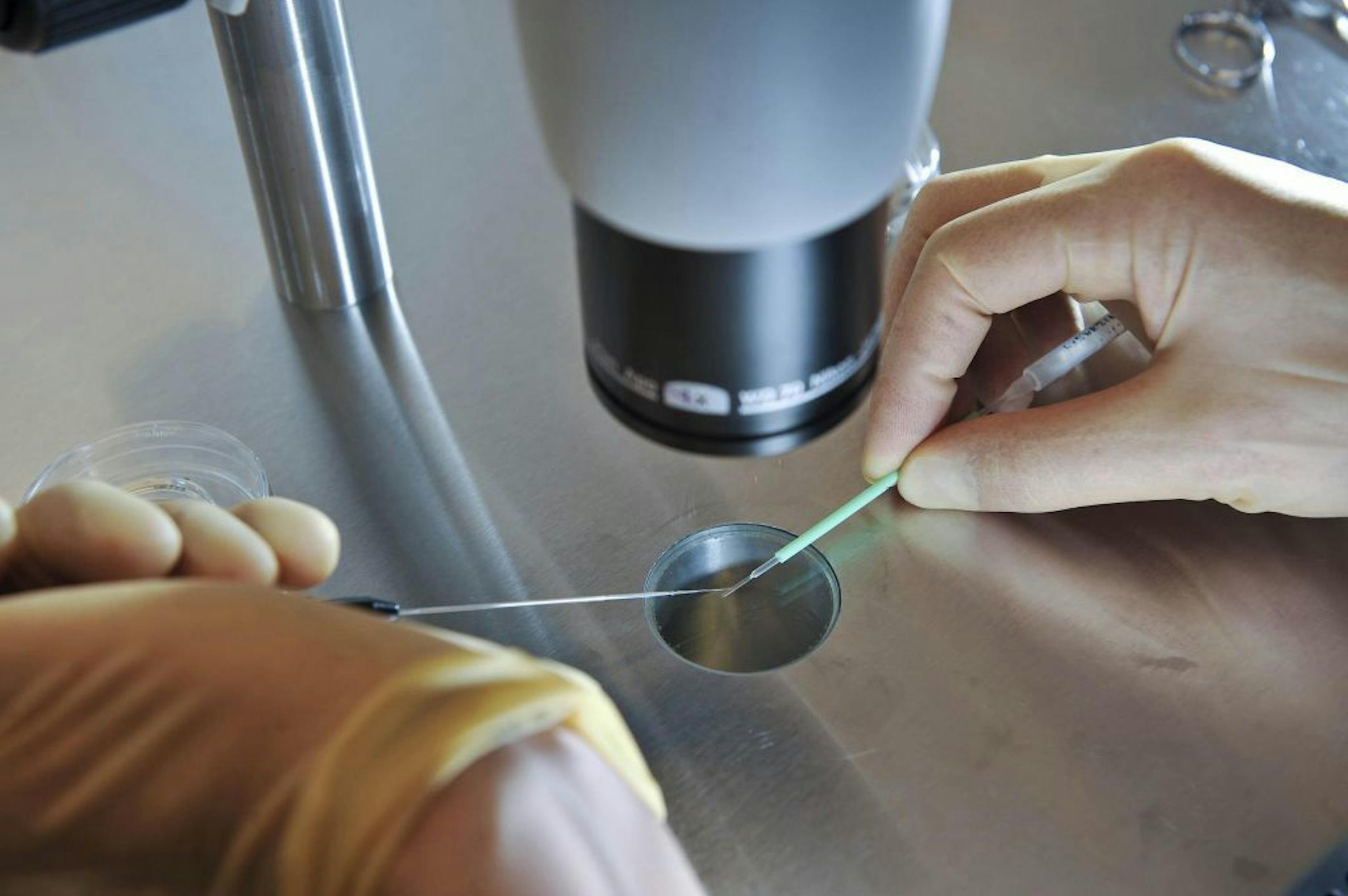 Most women support egg freezing. File photo dated 11/08/08 of embryos being placed onto a CryoLeaf ready for instant freezing as almost half of women would consider freezing their eggs to preserve fertility and most women are in support of the treatment, according to new research. Issue date: Tuesday July 1, 2014. Dr Camille Lallemant and her team at the Princess Anne Hospital's Complete Fertility Centre in Southampton, Hampshire, questioned 973 women of an average age of 31 in the UK and Denmar