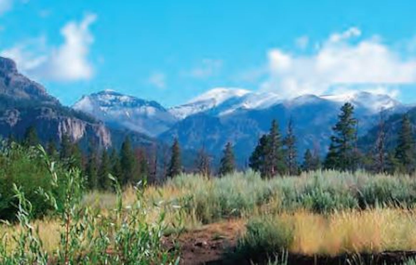 Shoshone National Forest