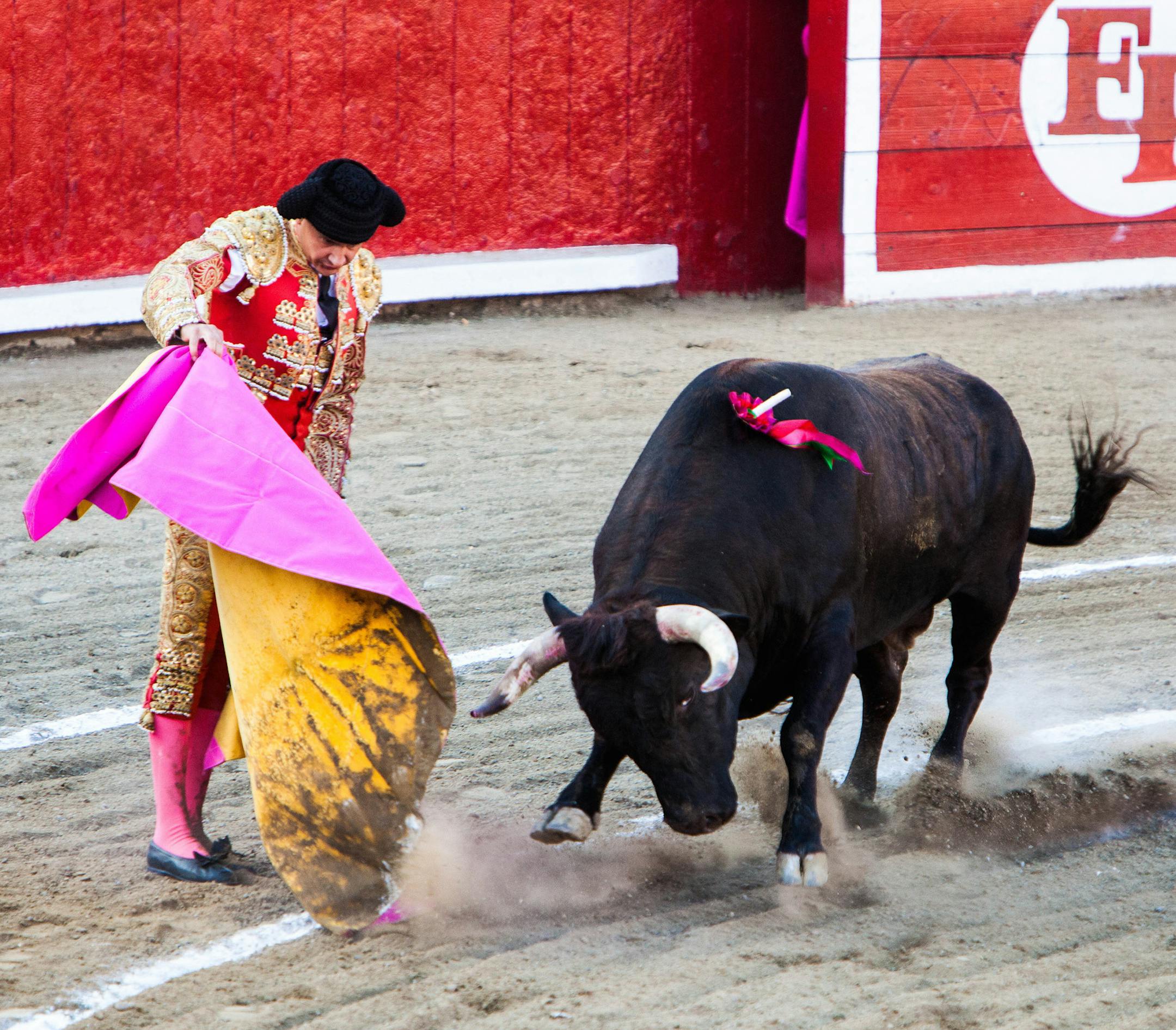 The matador uses his cape to lead the bull in a useless charge, Plaza de Toros, Mazatlan.