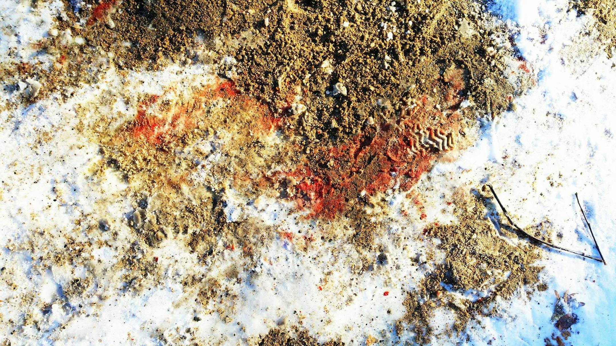 Days after a Jan. 1 slaying, blood remained on the ground in north Minneapolis. Some neighbors decried the lack of cleanup by the city.