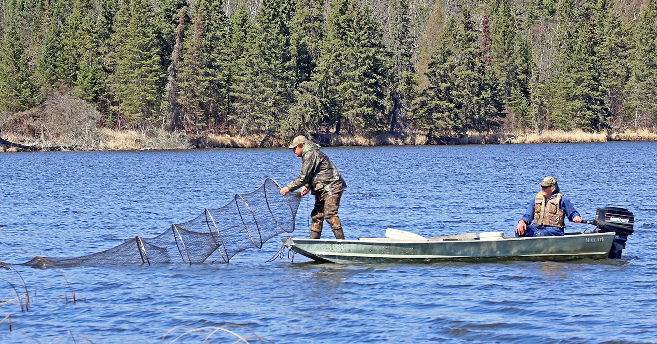Dallas Hudson pulls a trap net from a research lake not far from Walker, Minn., in one of the final attempts in spring to catch and measure northern pike, among other fish. The project is demonstrating how large northern pike can grow, and at what rate, when they are subject to limited harvest. Bruce Carlson is in the boat's stern.