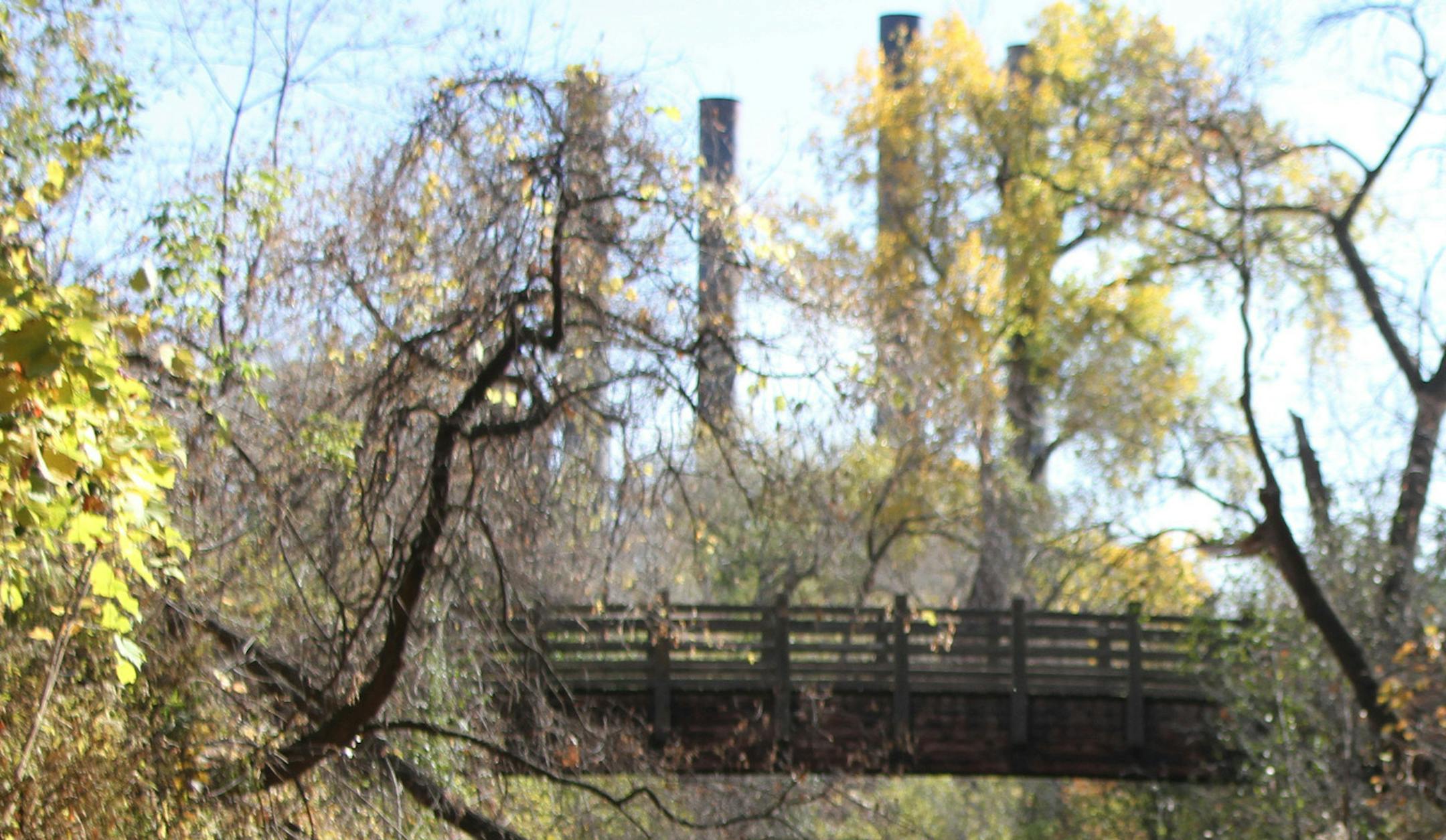 MCKENNA EWEN • mckenna.ewen@startribune.com October 20, 2010 – Minneapolis, Minn. – Father Hennepin Bluffs Park - In this photo: ] Local artist Peter L. Johnson's studio is a filthy stream in Father Hennepin Bluffs Park in Minneapolis. He picked the location after he discovered oil seeping into the Mississippi River. Johnson's latest project, "Devastating Beauty," focuses on finding beauty in damaged places. ORG XMIT: MIN2015050416413745