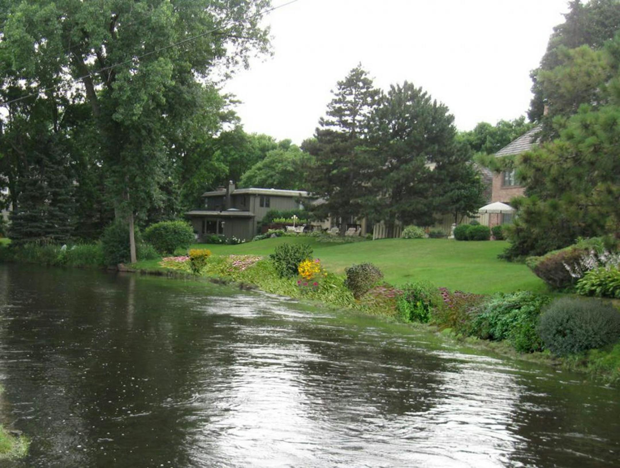 A conceptual image of possible plantings to stabilize banks and buffer habitat on the Minnehaha Creek shoreline