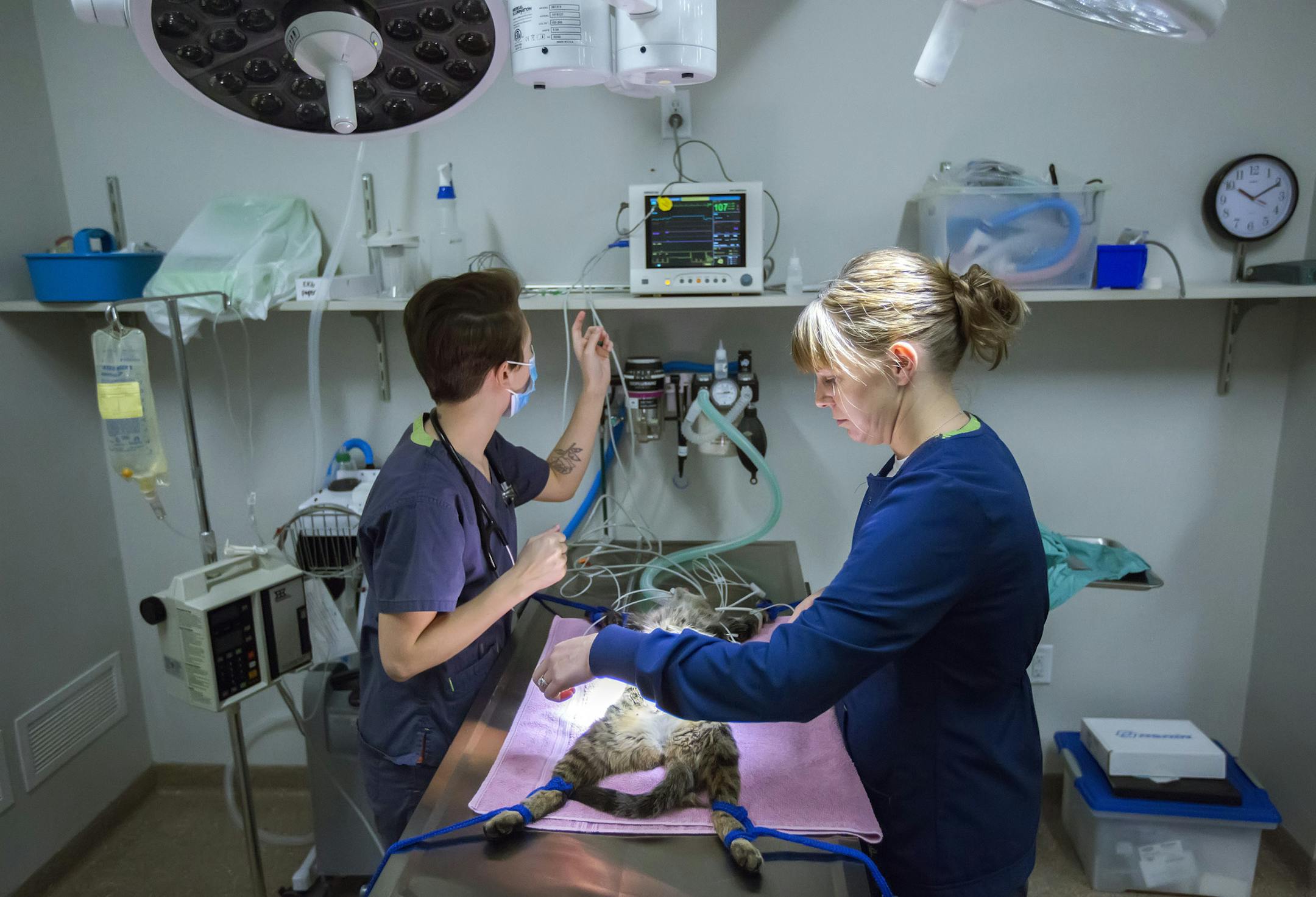 Mission Animal Hospital is the first nonprofit full-service veterinary clinic in Minnesota. It provides a sliding-fee scale for pet care to low-income people.
