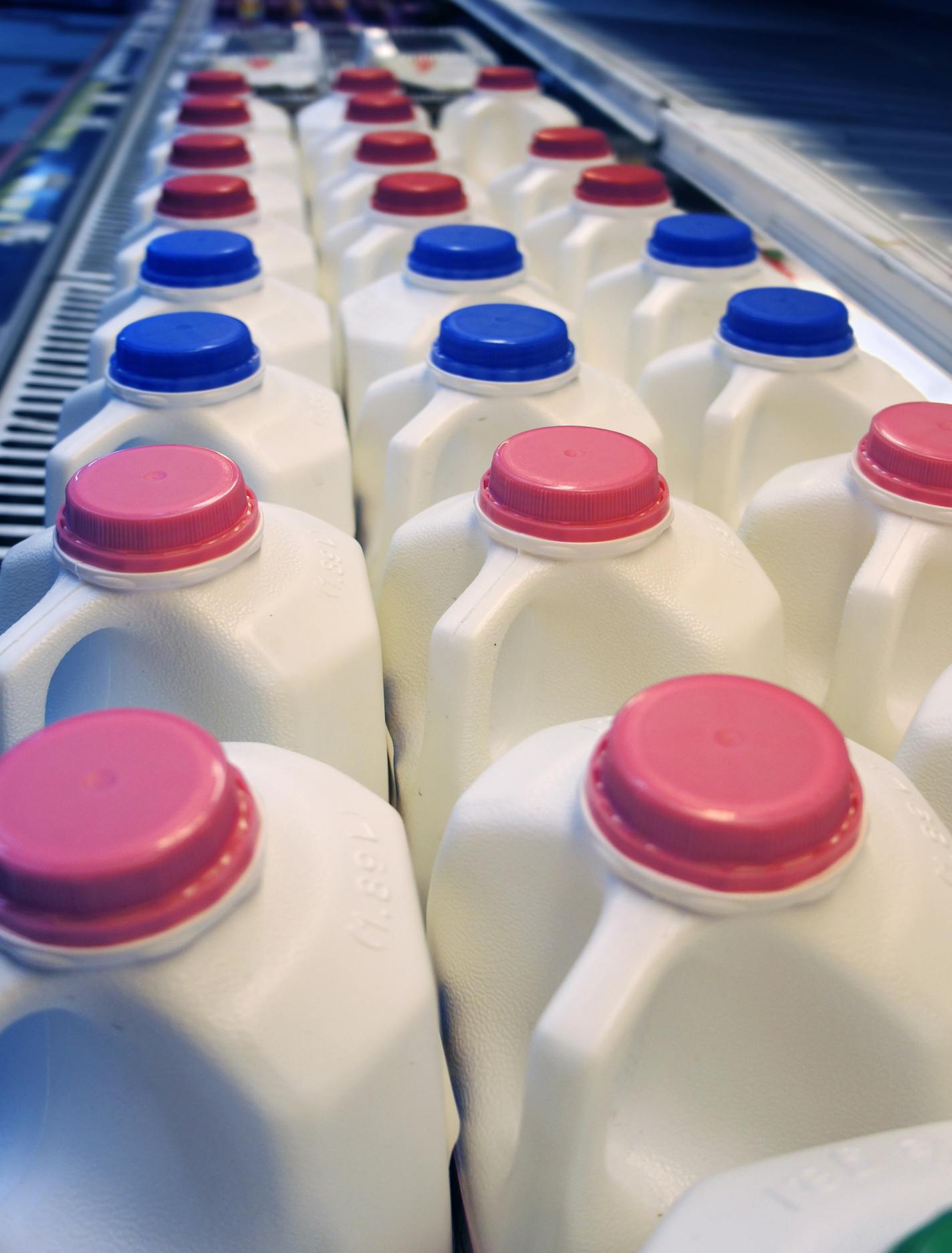 Refrigerated milk in store.