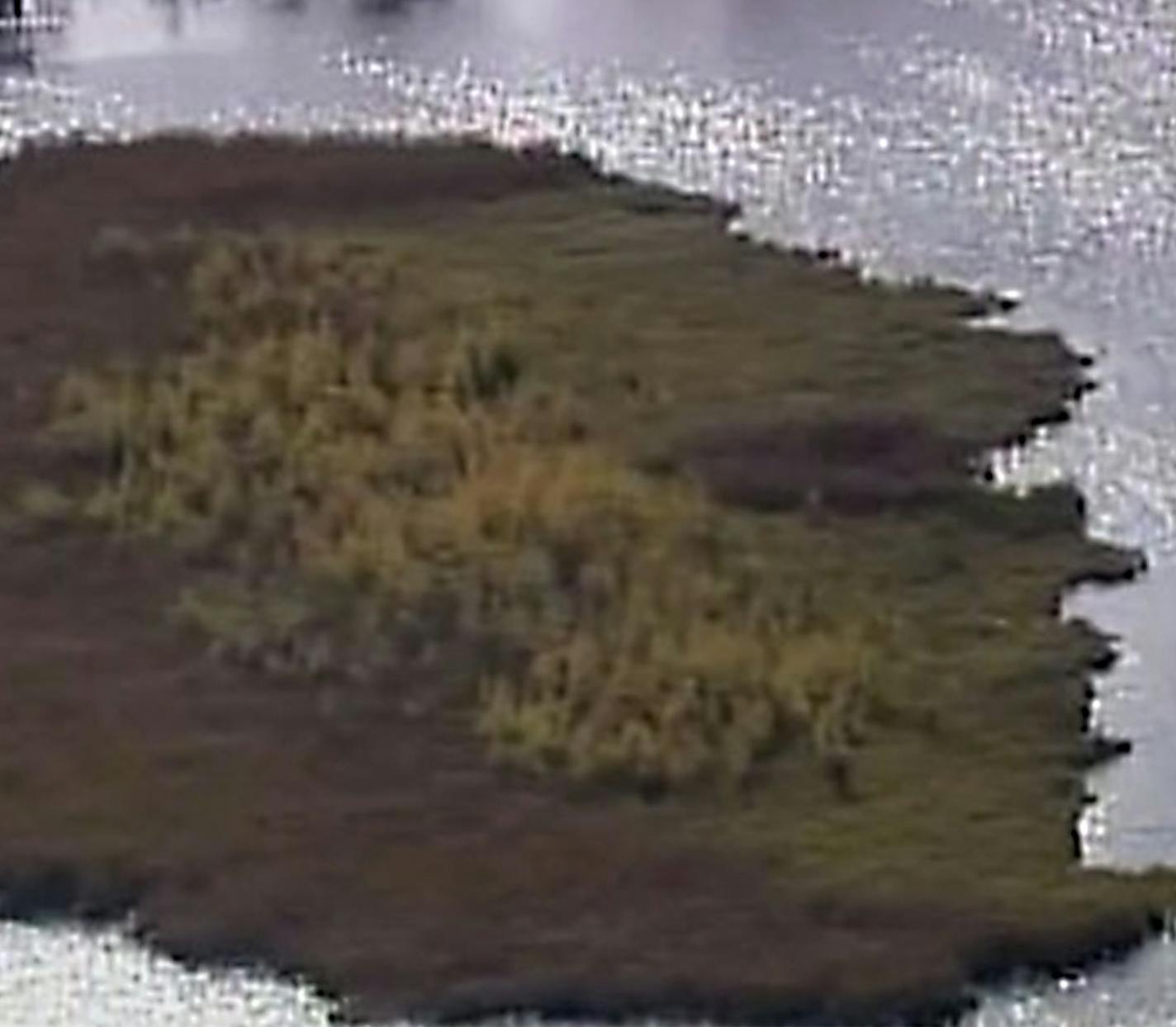 MUST CREDIT: KARE-11. An aerial of the bog of North Long Lake, which has been on the move.