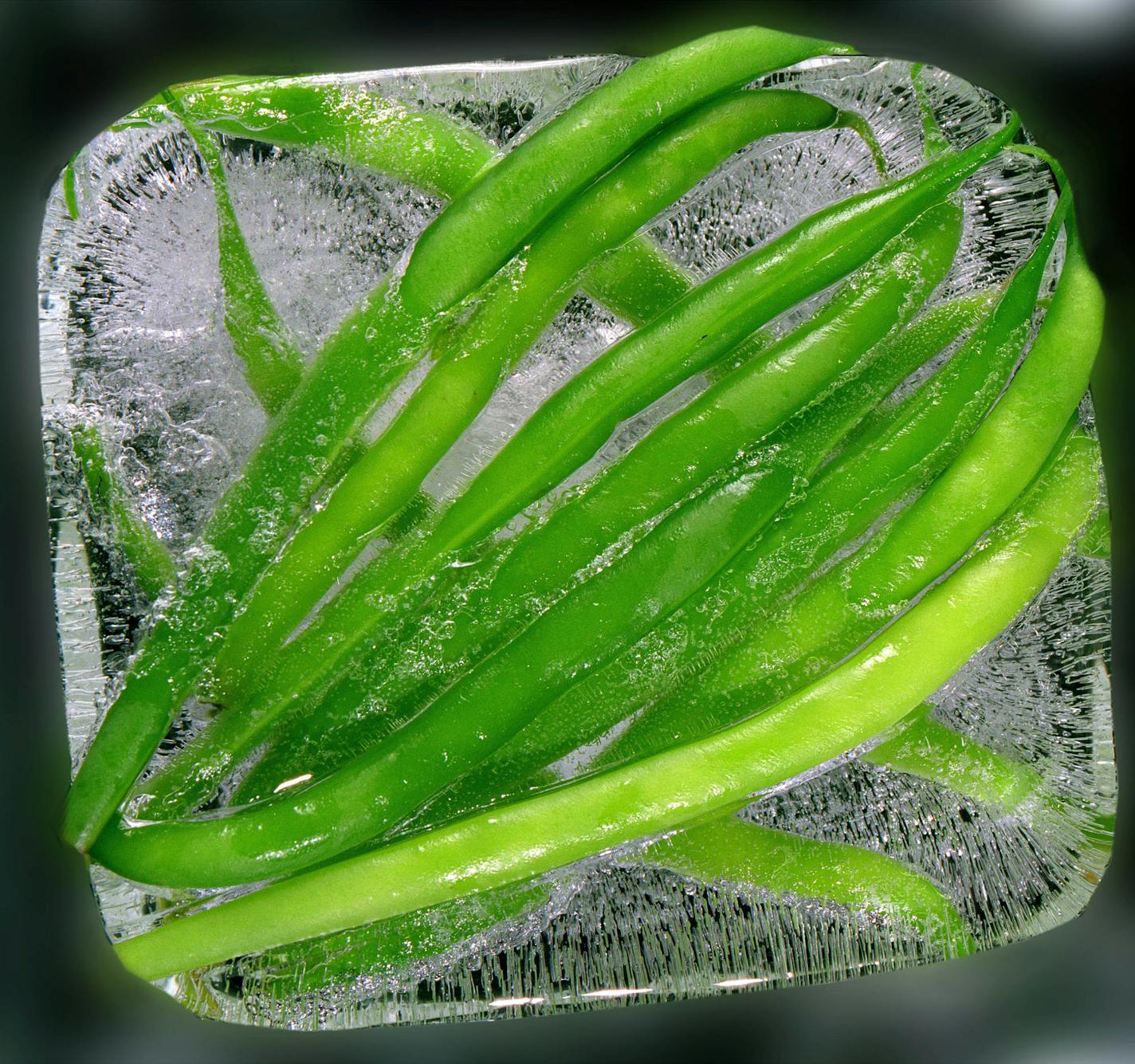 Green beans on ice.