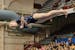 Champlin Park's Chaney Neu during the floor exercise at the Class 2A gymnastics state meet Feb. 25 at the University of Minnesota Sports Pavilion. The