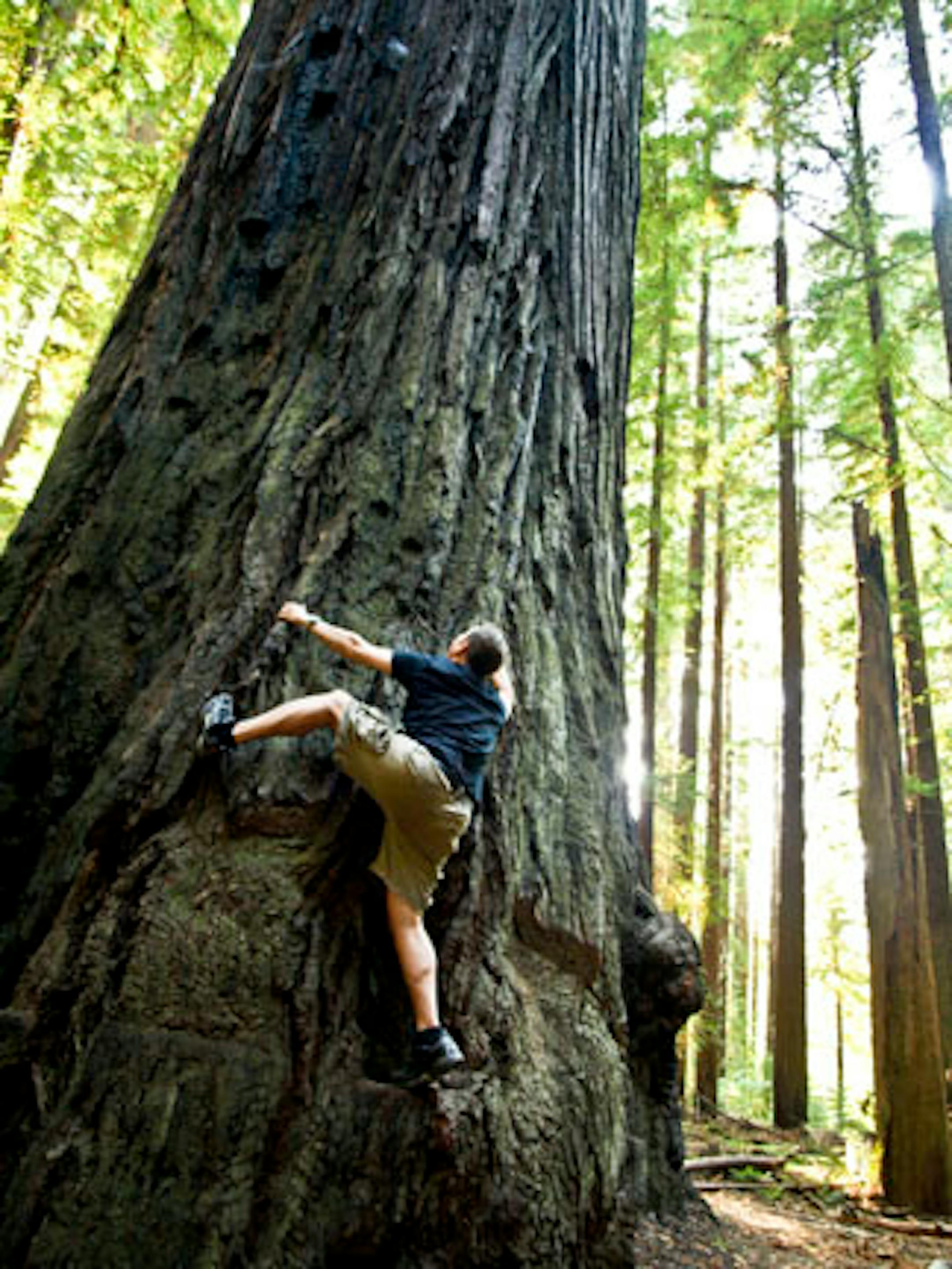 I married Spiderman...