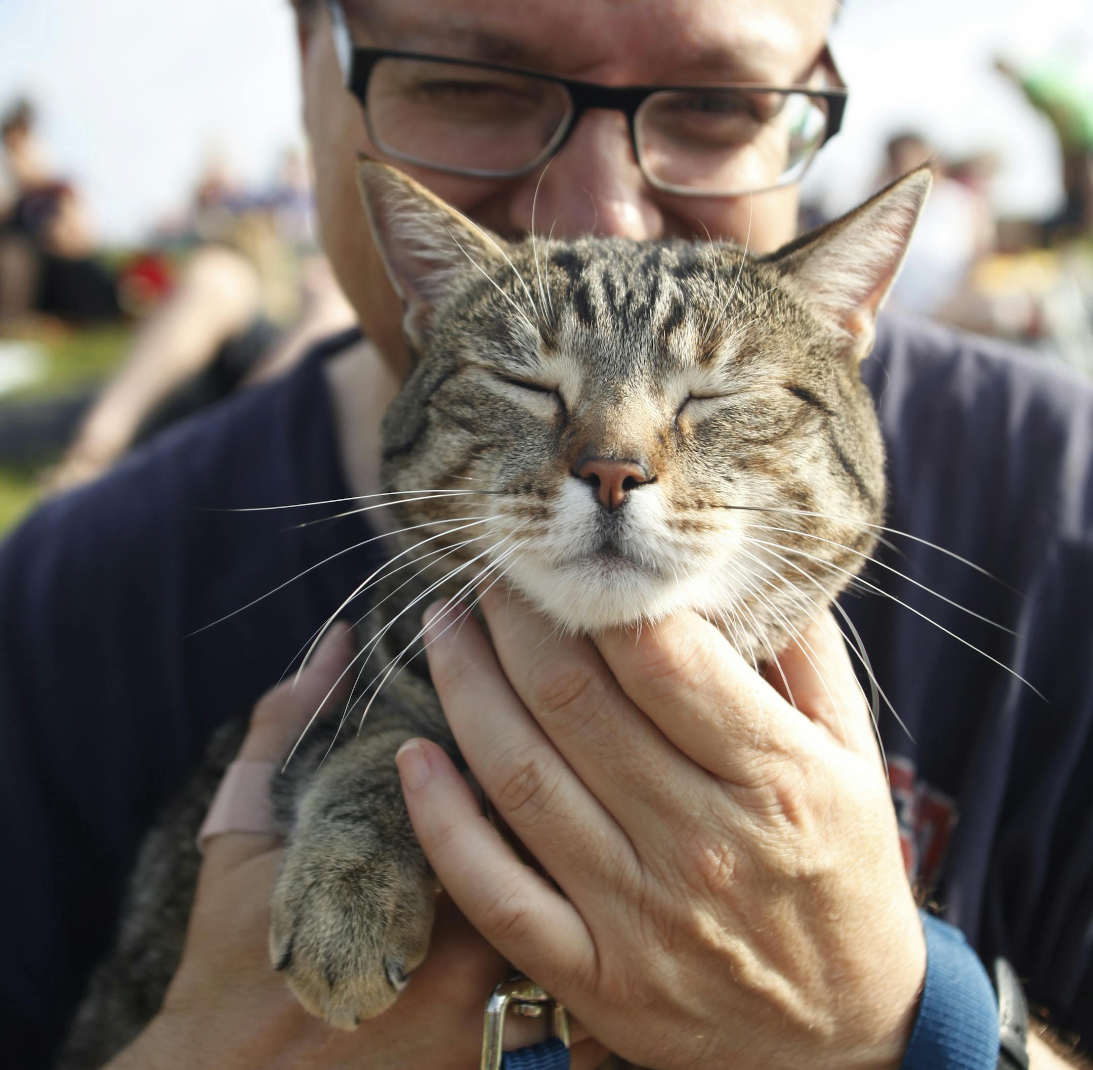 Peter Pasquale attended the 2014 Cat Video Festival at Walker Art Center in Minneapolis with Jack, a tabby mix.