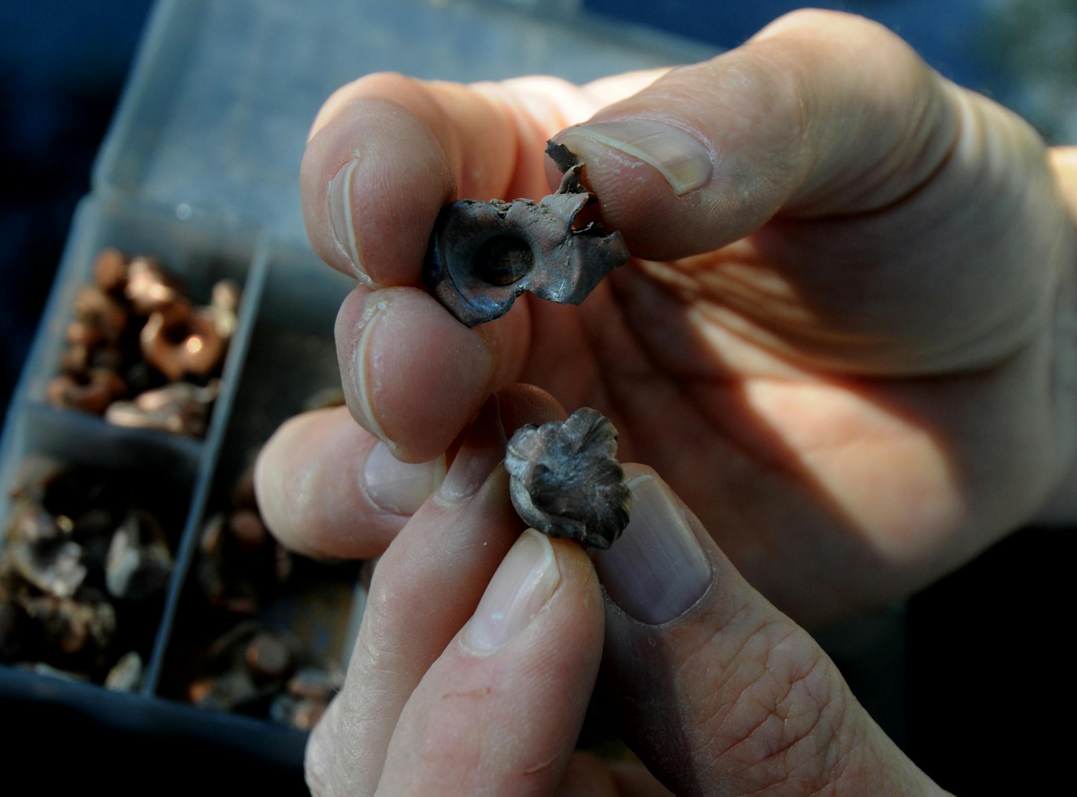 Different bullets react differently after hitting an animal, as these two bullets, recovered after being shot into sheep, show.