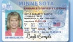 Minnesota driver's license