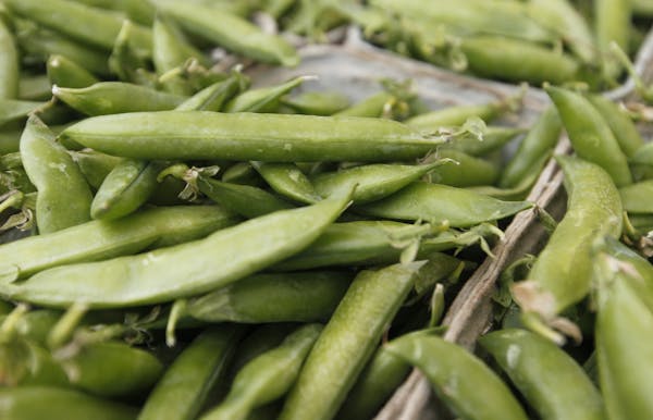 Snap peas are available. Today is opening day for the Lakeville farmer's market.] rtsong-taatarii@startribune.com