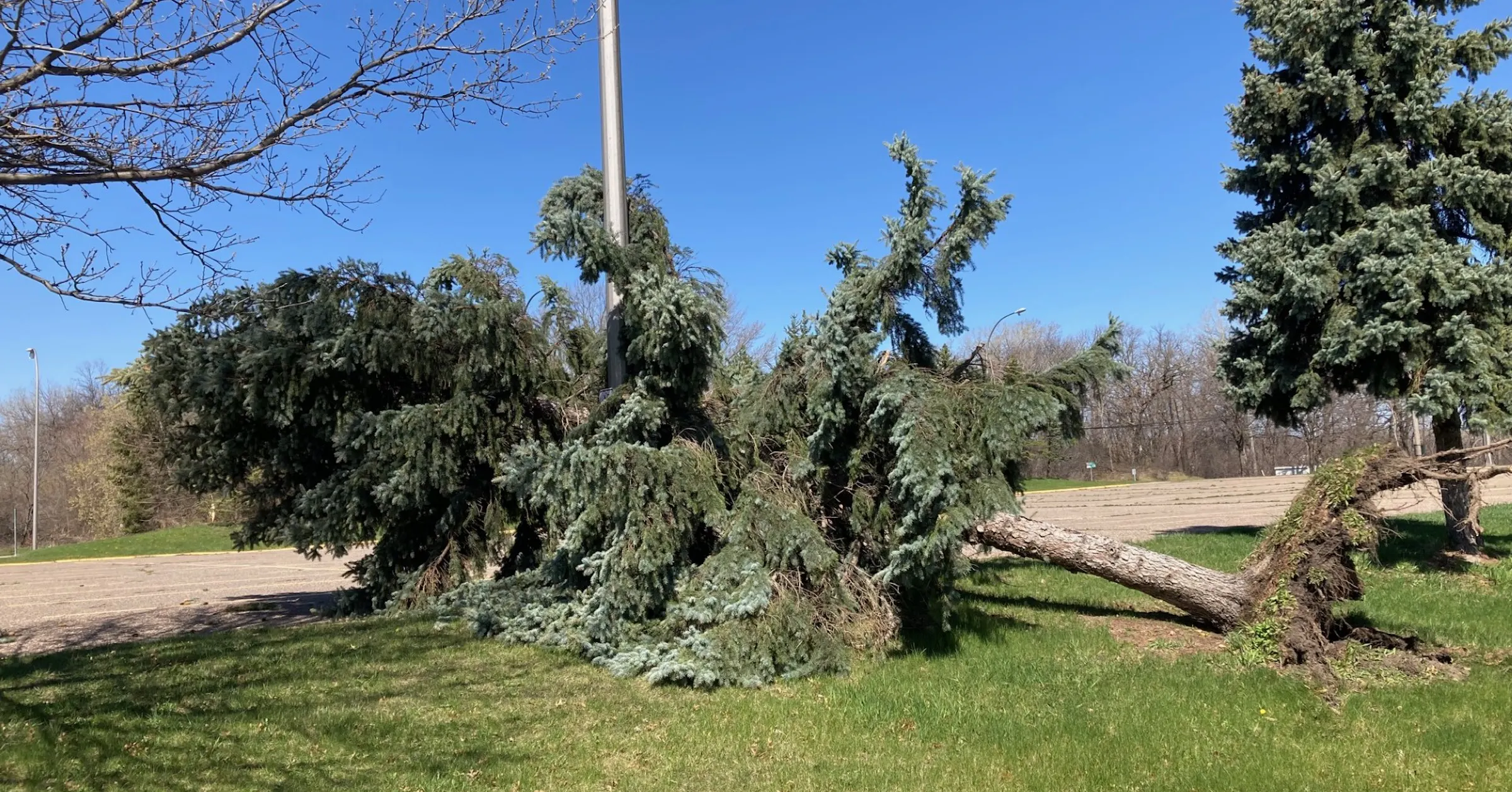April In Minnesota This could be the windiest April ever in Minnesota