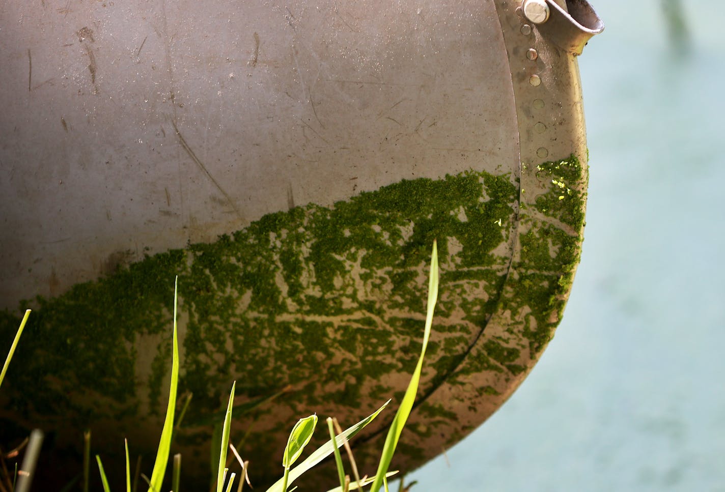 Duckweed and algae bloom on a canoe in Winchester Pond Wednesday, July 23, 2019, in Bloomington, MN.] DAVID JOLES &#x2022; david.joles@startribune.com A neighborhood in Bloomington has hit on a unique way to clean up Winchester Pond. This weekend it deployed a plant-covered "floating island" to manage water pollutants and naturally cleanse water, mimicking characteristics of a wetland. The project received funding from Hennepin County, which awards grants to improve water quality for projects in