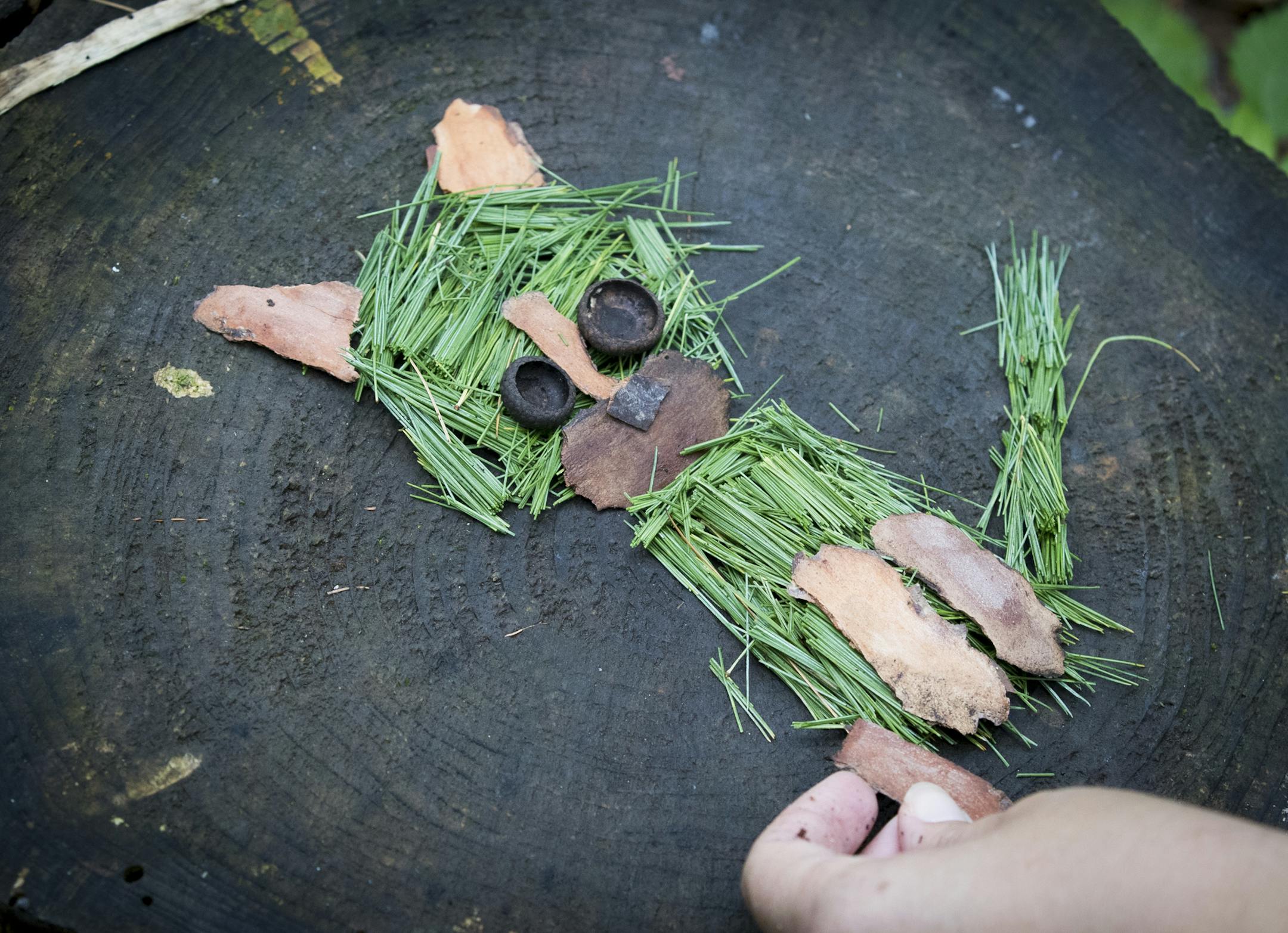 Chelsey Bahe used a tree stump to layout an image of a cat out of grass, sticks, bark and other tidbits she found in nature on a walk at Westwood Hills Nature Center in St. Louis Park, Minn., on August 30, 2016. ] RENEE JONES SCHNEIDER • renee.jones@startribune.com