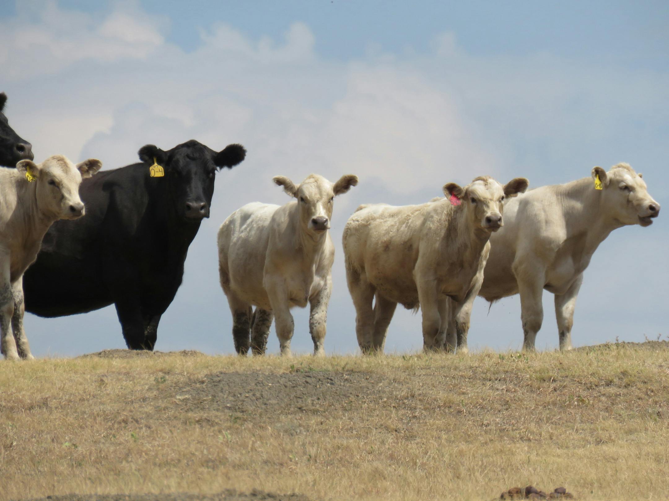 Native American Scenic Byway, Lewis & Clark Trail. Photo by Lisa McClintick