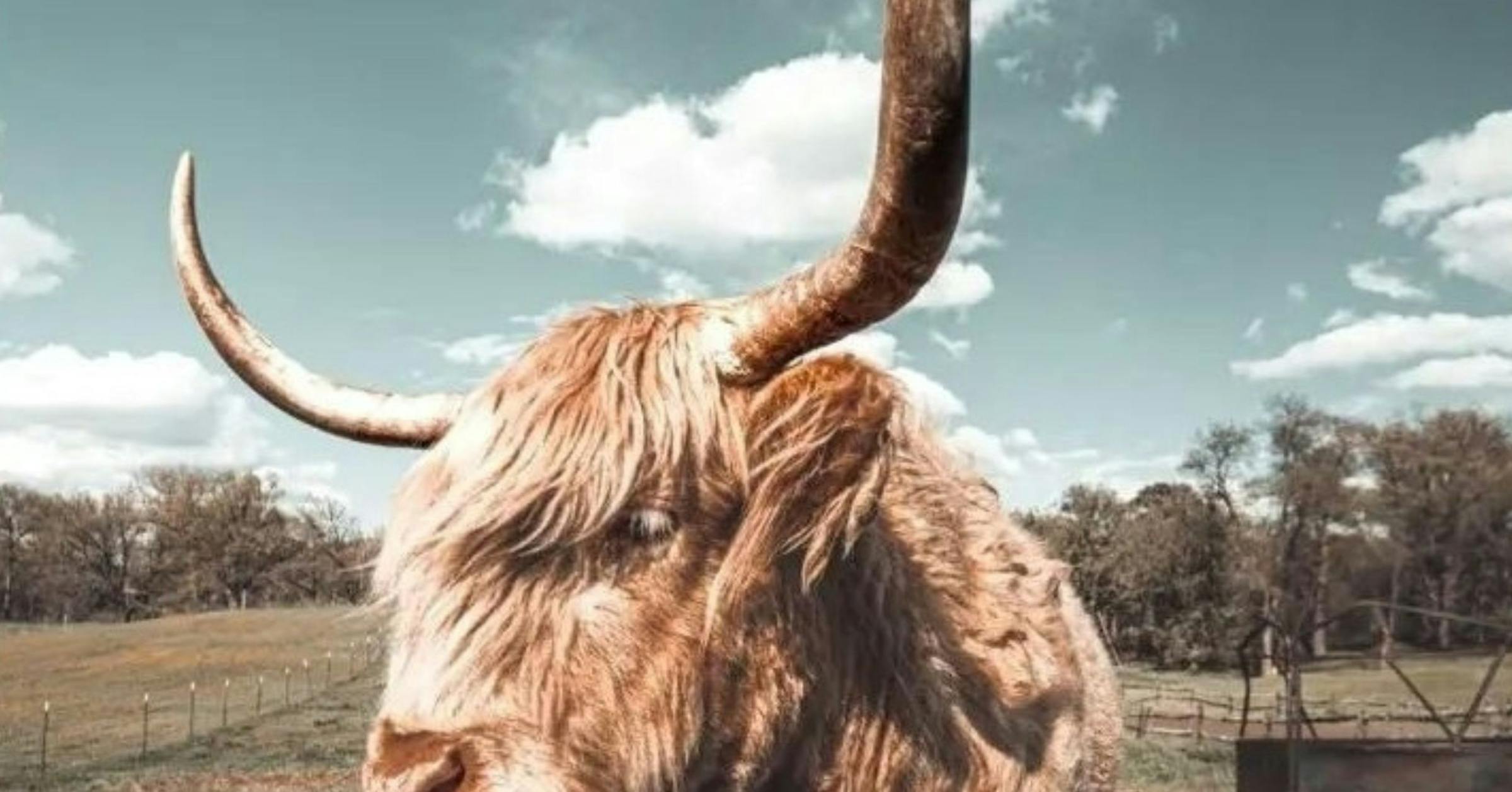 9 Free Things To Do In The Twin Cities This Week May 2 6 9-free-things-to-do-in-the-twin-cities-this-week-may-2-6