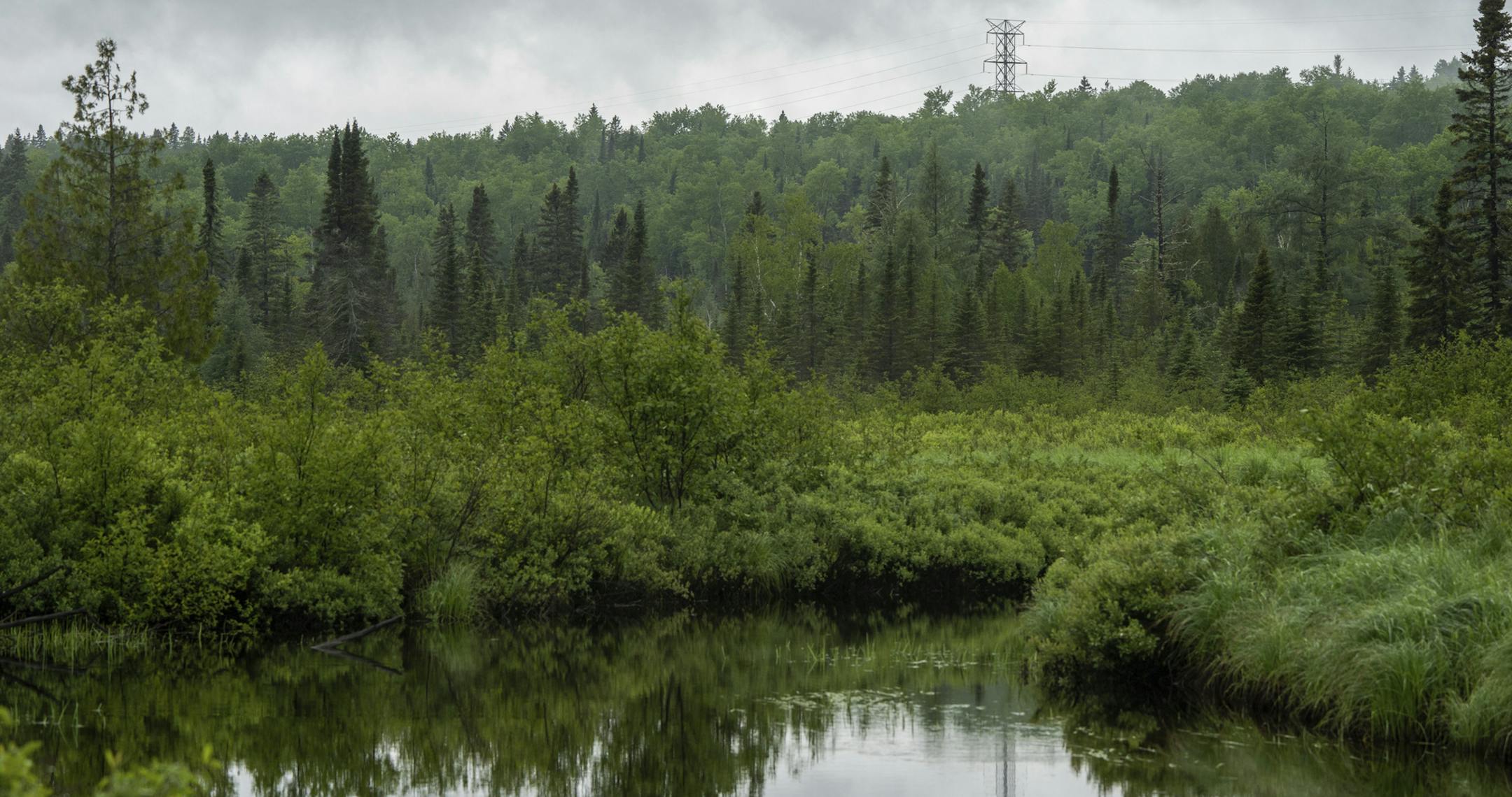 In this June 24, 2019, photo water flows down Moose Creek near Schroeder, Minn. (Evan Frost/Minnesota Public Radio via AP)
