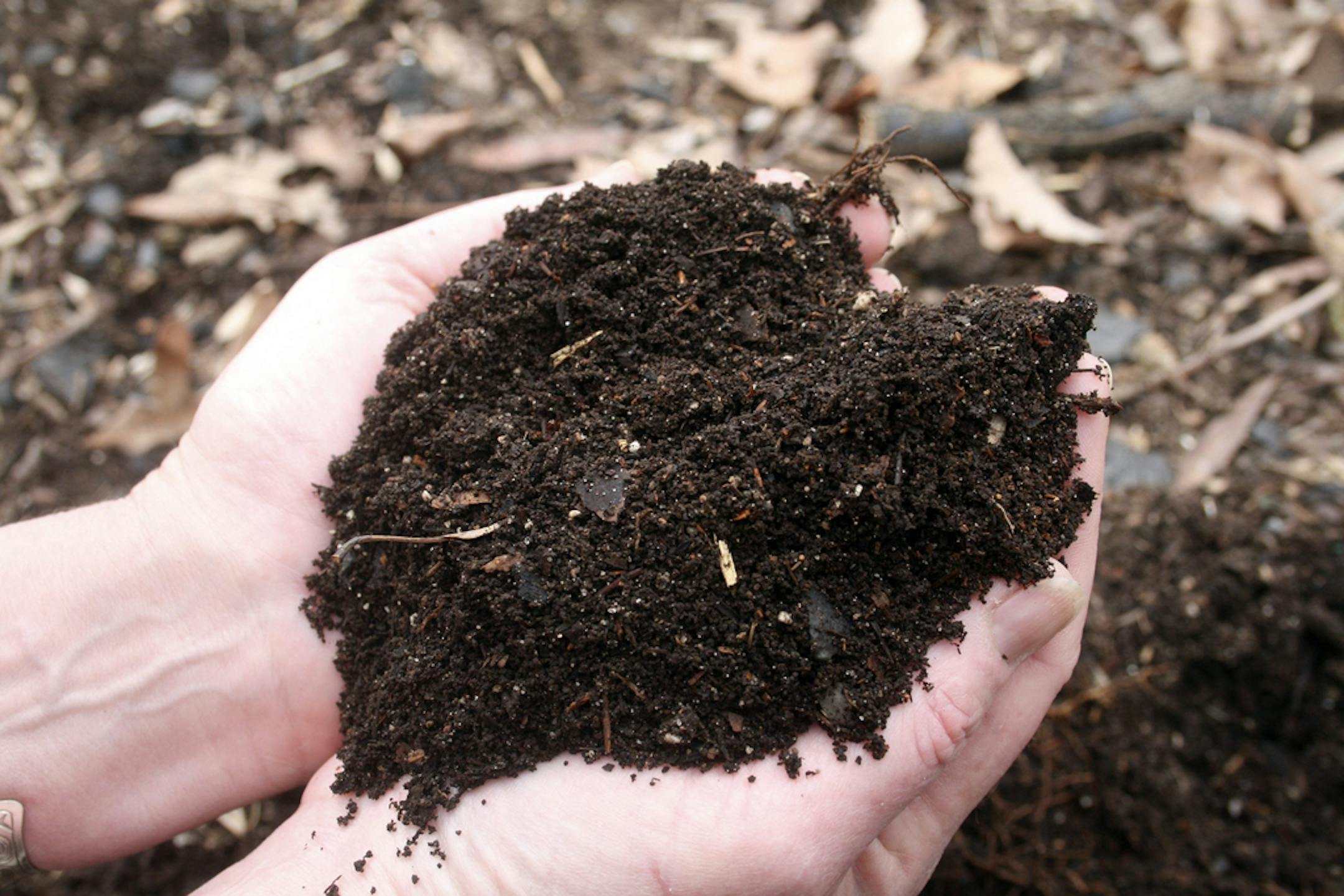 **FOR USE WITH AP LIFESTYLES** Homemade compost is seen Sunday, March 8, 2009 in New Market, Va. Compost or "brown gold" is the product of decomposed green kitchen scraps, yard litter and garden wastes. It becomes a nutrient-rich soil amendment when livestock and poultry manures are added. No-till gardeners spread a deep layer of mulch over the home-made compost to enrich and safeguard surface soils. (AP Photo/Dean Fosdick) ORG XMIT: MIN2013050314500447
