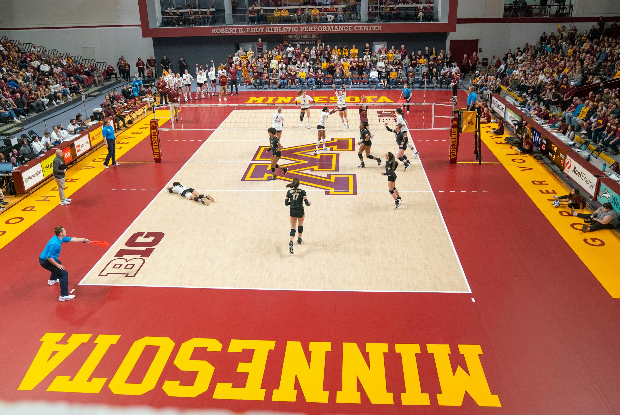 The Minnesota volleyball team celebrates after winning a point against Purdue in the third set Saturday, Oct. 22, 2022 at Maturi Pavilion in Minneapolis. ]