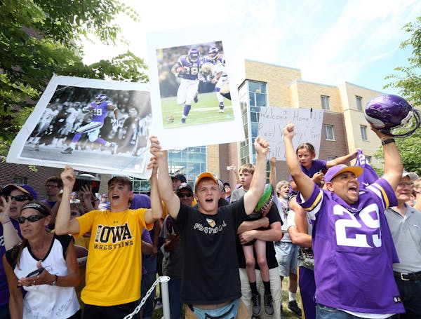 Vikings fans cheered as Adrian Peterson returned to Minnesota State University for Vikings training camp last season.