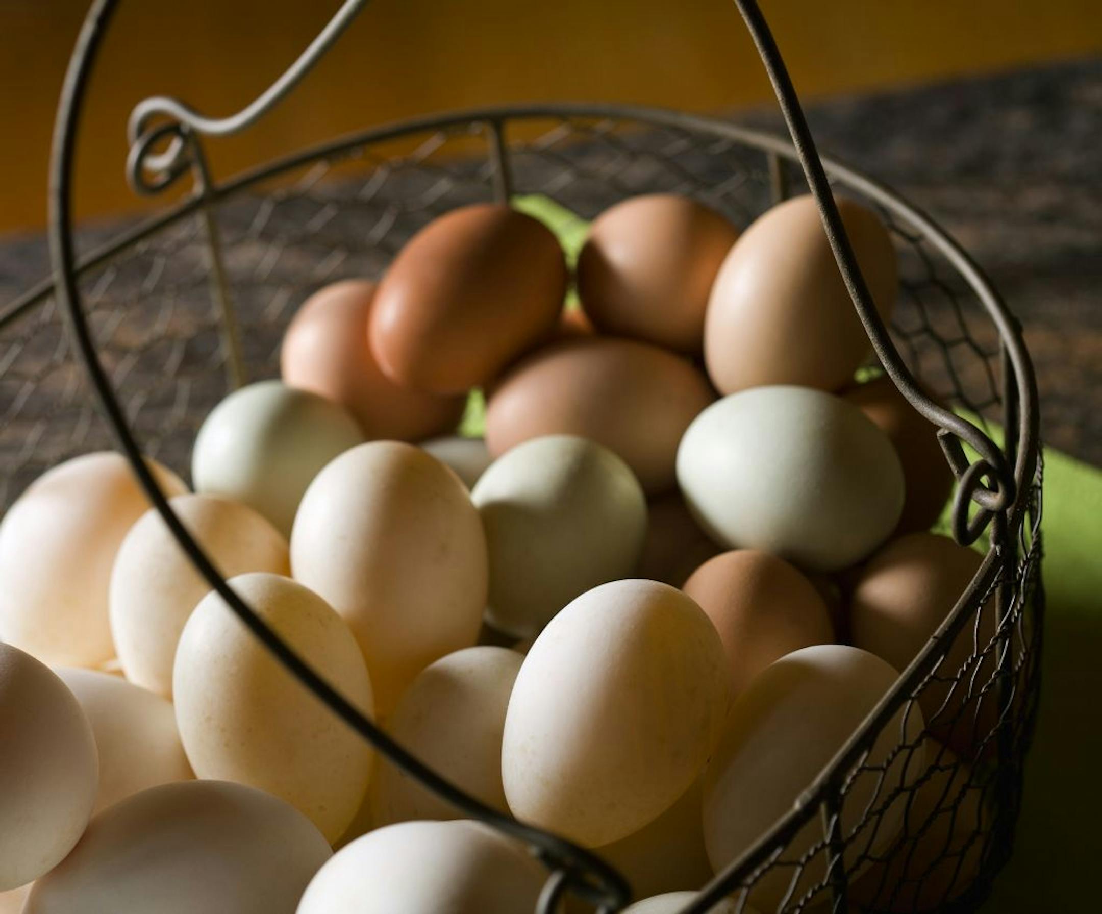 Every day farmer Patti Dusbabek gathers eggs of varied size and color from her chickens, ducks and geese. She cooks them into gourmet breakfasts for her guests and sells the excess to neighbors and at farmer's markets. Holly Lane Gardens is a Bed & Breakfast on Bainbridge Island, in Washington state.