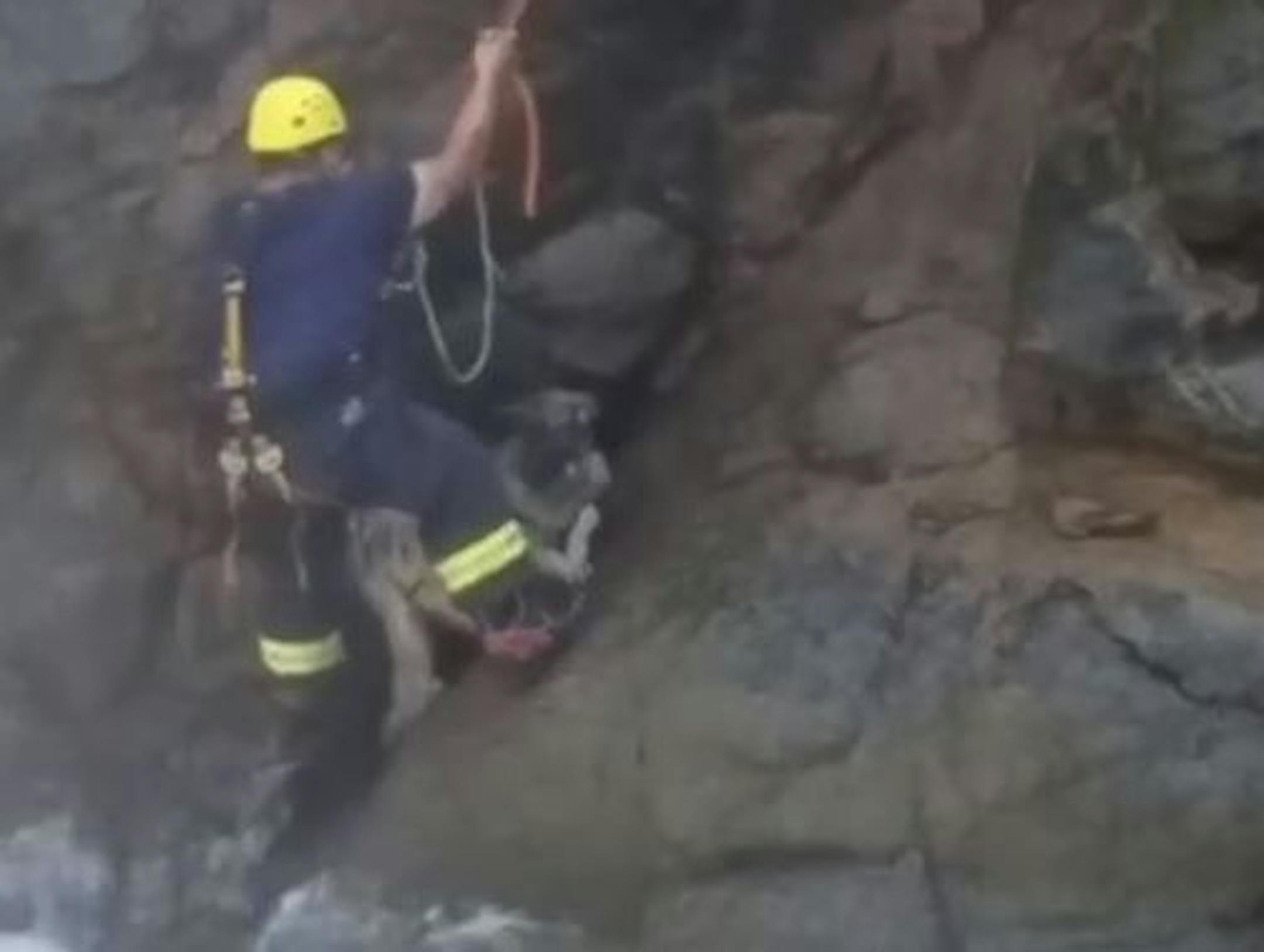A firefighter neared the dog stranded after going over a waterfall.