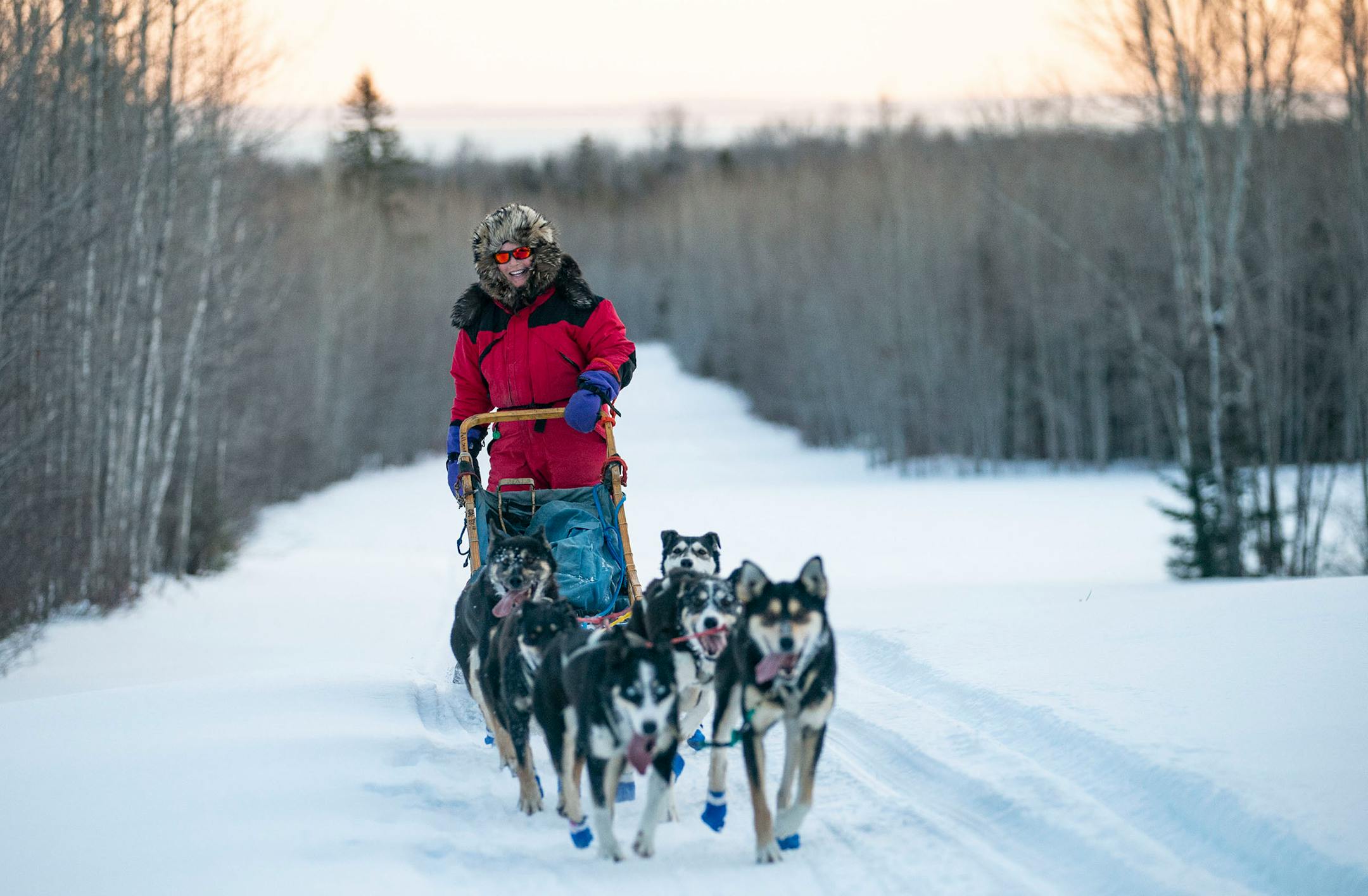 Colleen Wallin mushed her sled dog team up a hill in front of Lake Superior during a speed training run on January 26, 2021.