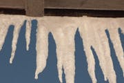 -- snow.5667- detail iceles hanging off the south facing roof edge- illo for ice-dam story?