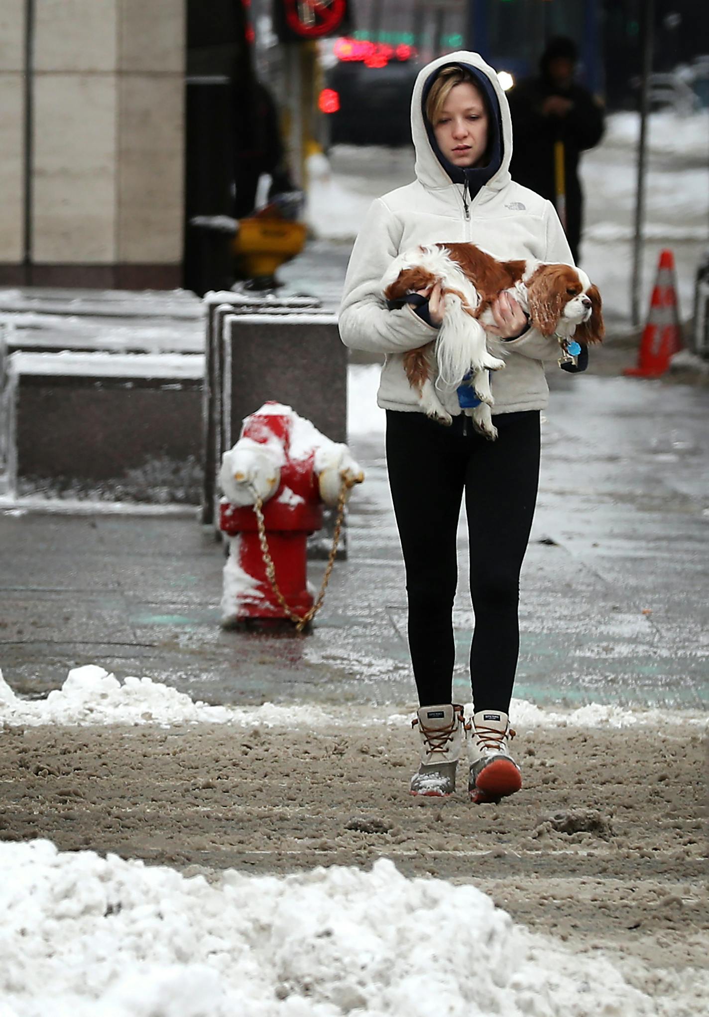 Mary-Kate McCarthy holds her dog Henry to protest him from walking on the salt while taking him out for a walk in downtown Minneapolis. ] LEILA NAVIDI &#xef; leila.navidi@startribune.com BACKGROUND INFORMATION: Snowfall overnight on Friday morning on February 23, 2018.