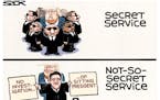 Sack cartoon: Effect of court pick