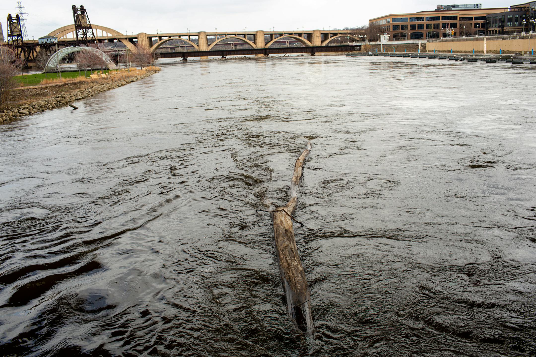 Water rushes by a downed tree branch near Raspberry Island Sunday, April 23, 2023, during a period of high spring flooding in St. Paul.