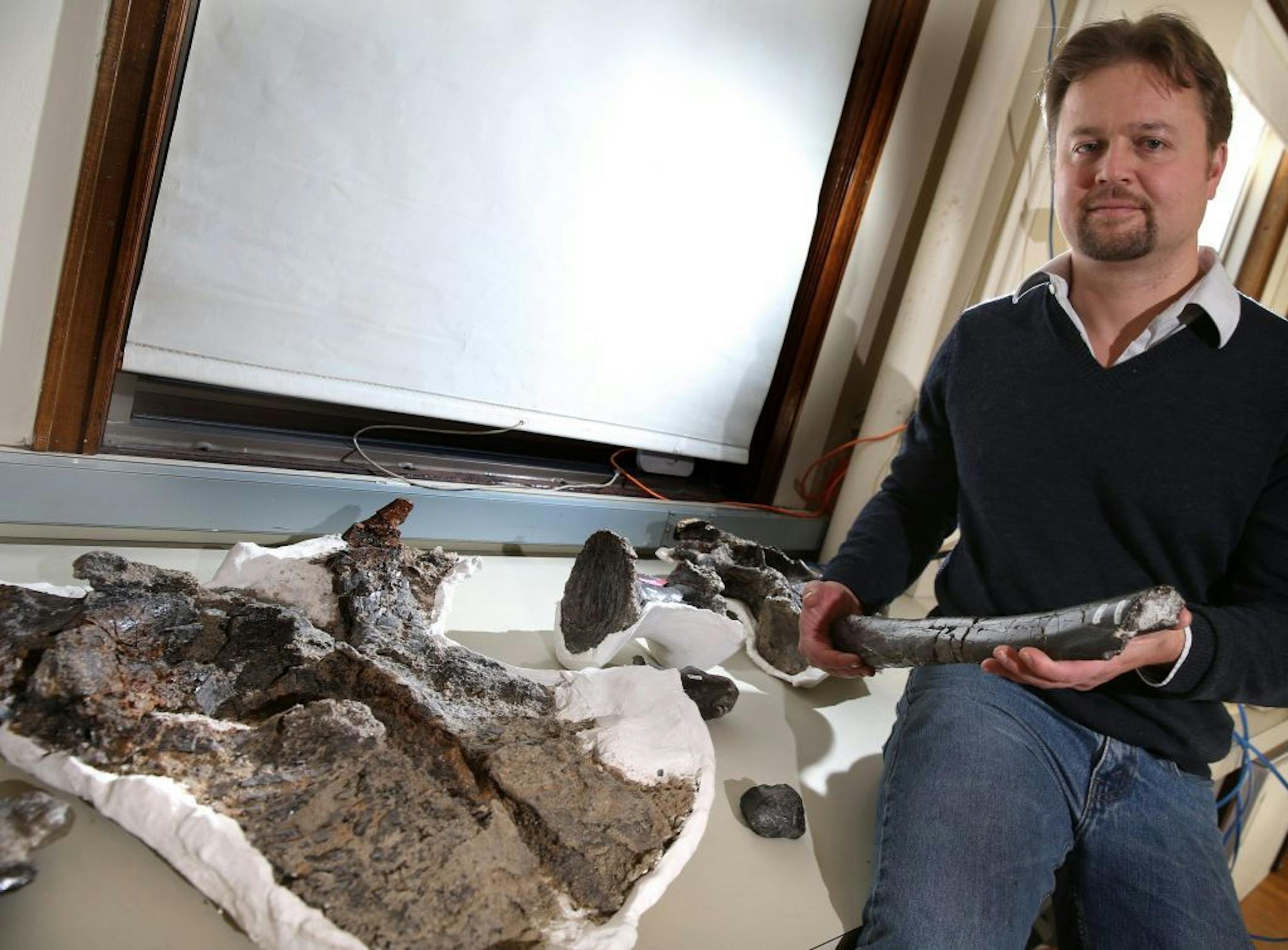 Peter Makovicky holds a fibula as he displays bones of a newly discovered dinosaur, the Slats Meekerorum, a top predator, at the Field Museum in Chicago on Nov. 20, 2013.
