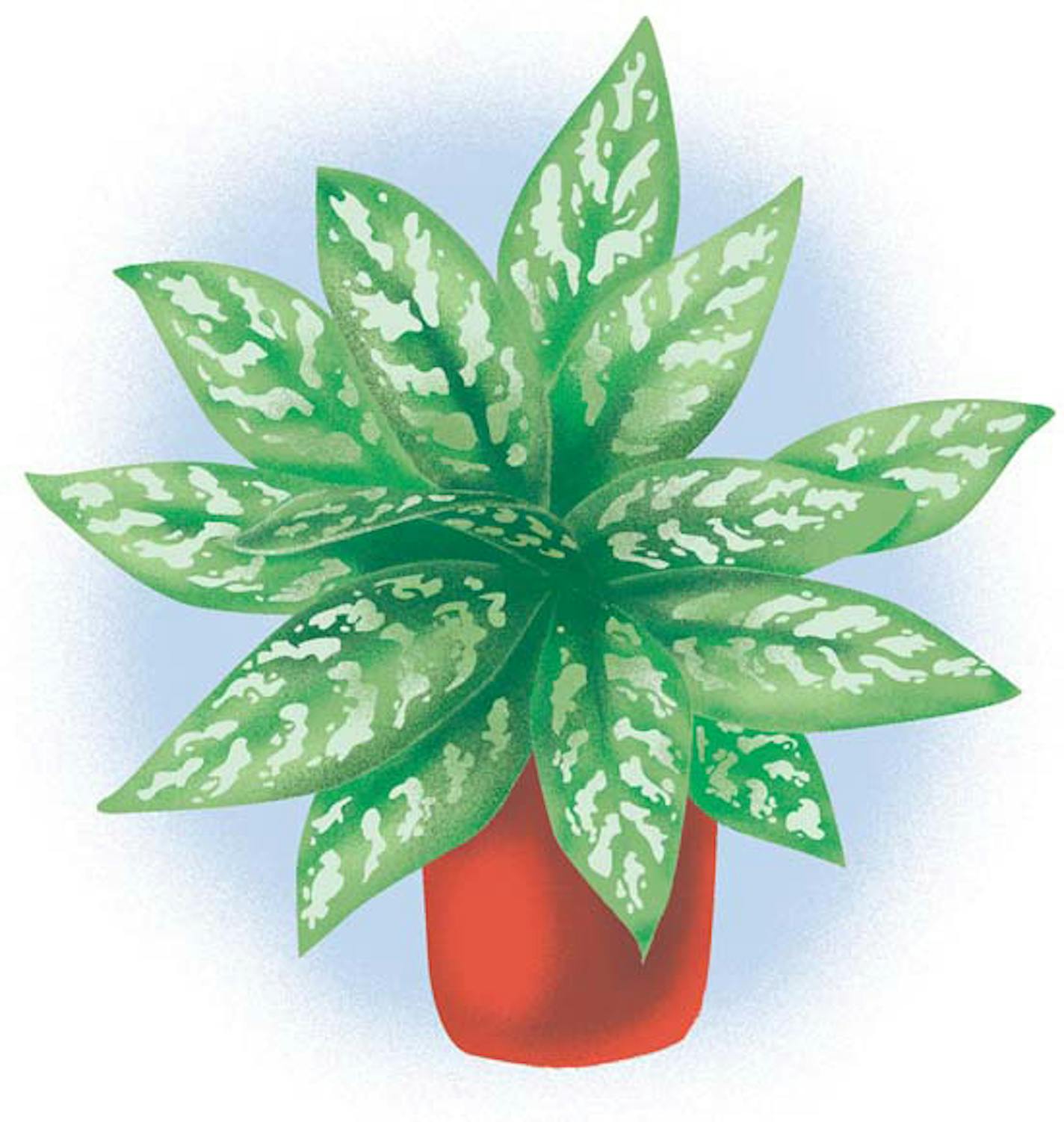 Houseplants are getting ready to grow, and could use a little help.