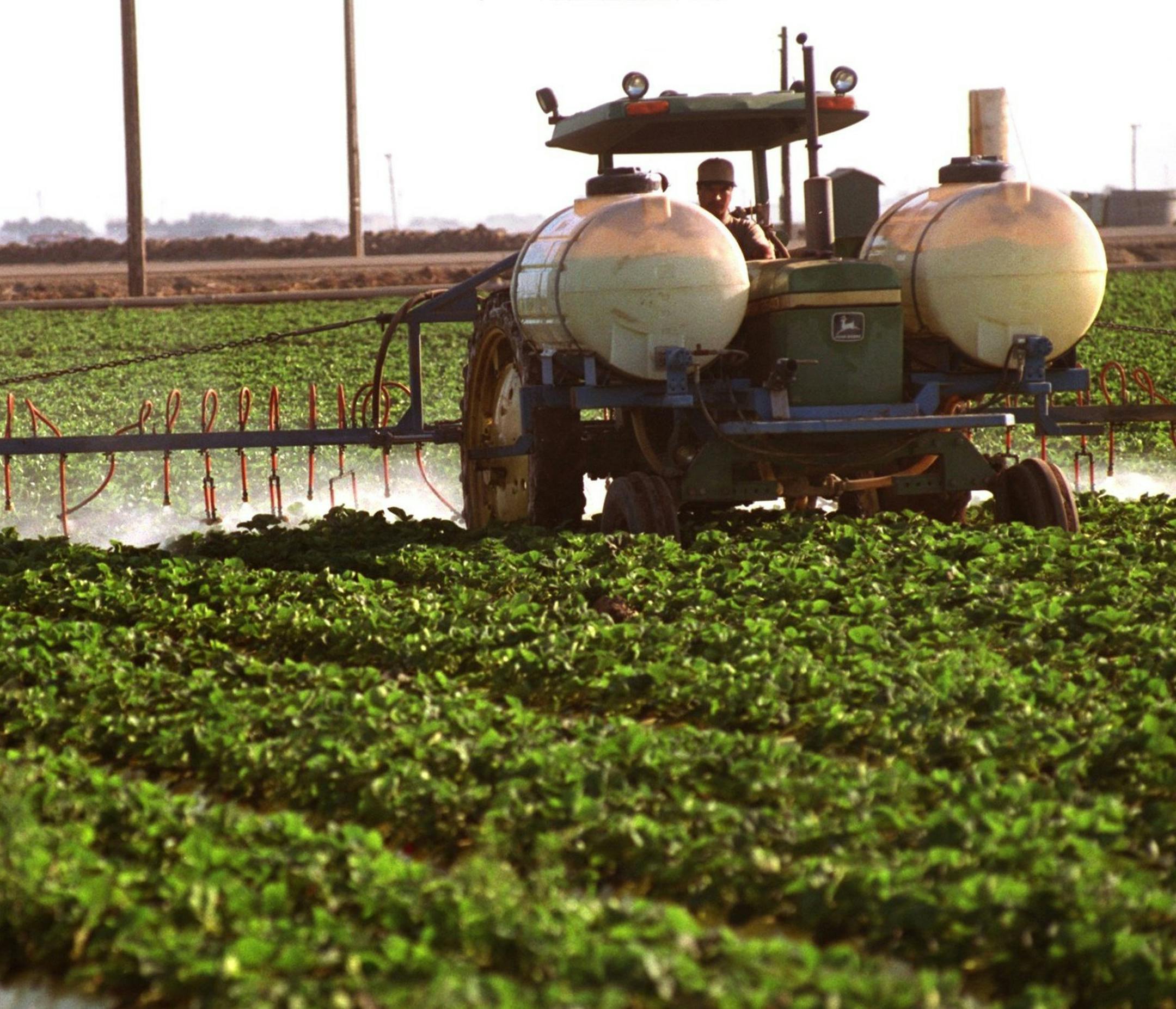 UC Davis researchers say women living within about a mile of fields, farms or other sites that use agricultural pesticides have a 60 percent higher risk of delivering a child with autism spectrum disorder or other developmental delays. (Mel Melcon/Los Angeles Times/MCT)