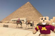A Goldy Gopher doll makes an appearance at the Great Pyramids of Giza, in a photo shared by U of M Alumni Association traveler Sarah Huerta.