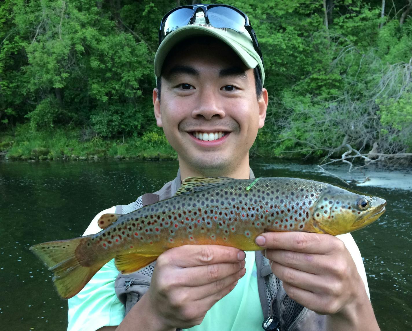 NICE TROUT Dennis Ouyang of Roseville caught this 15-inch brown trout on the Rush River recently. &#xec;As with most of the larger fish on the Rush this year, it&#xed;s a football &#xf3; they have larger girths than normal,&#xed;&#xed; said Ouyang&#xed;s guide, Ben Carlson of Jolly Fly Fishing.