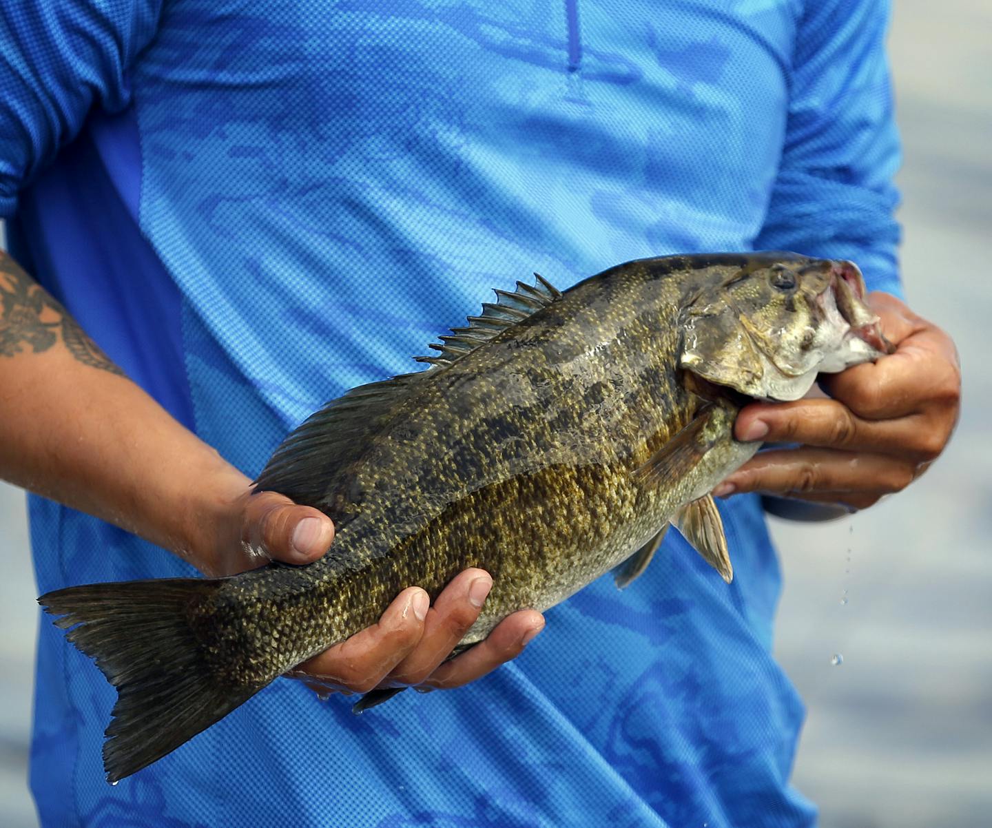 Ron Xiong of Minneapolis shows off a bass his team caught. ] (Leila Navidi/Star Tribune) leila.navidi@startribune.com BACKGROUND INFORMATION: The 10th annual Hmong Bass Fishing Tournament on the St. Croix River on Friday, July 1, 2016.