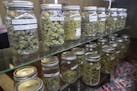 An illegal marijuana dispensary in California.