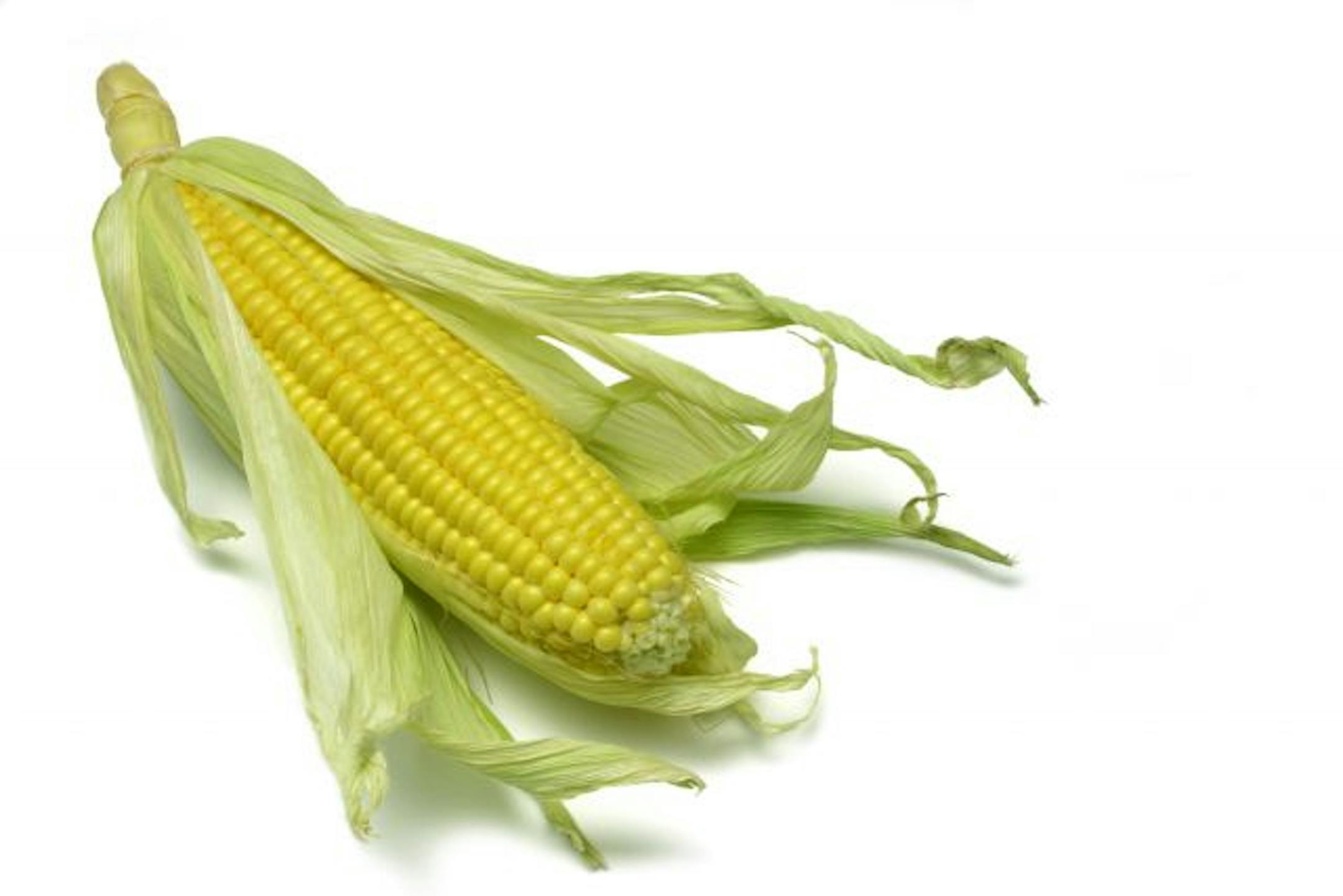 When buying corn, look for plump, heavy ears with glistening kernels and tightly-wound moist silks.
