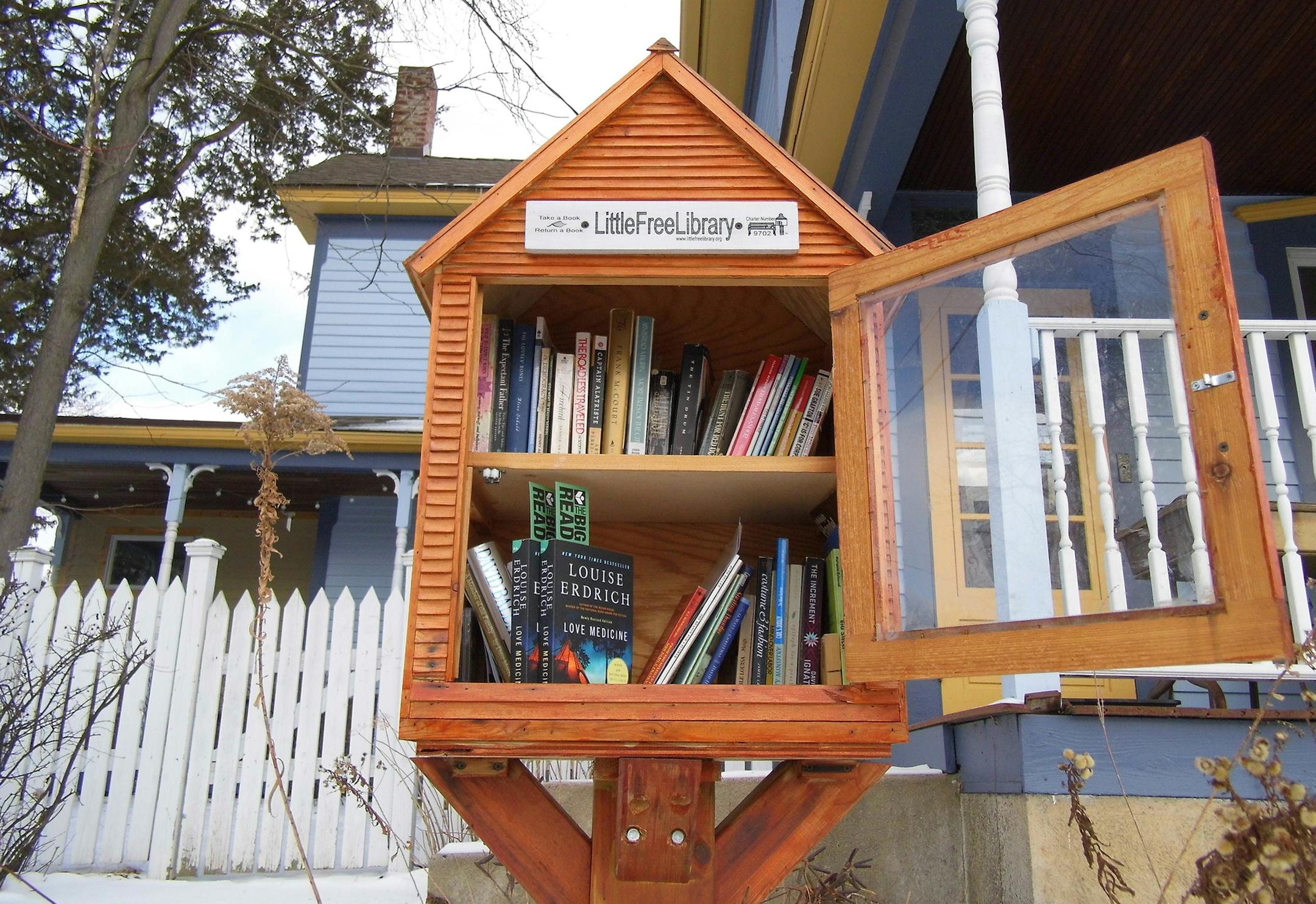 the "Love Medicine" book inside a Little Free Library.