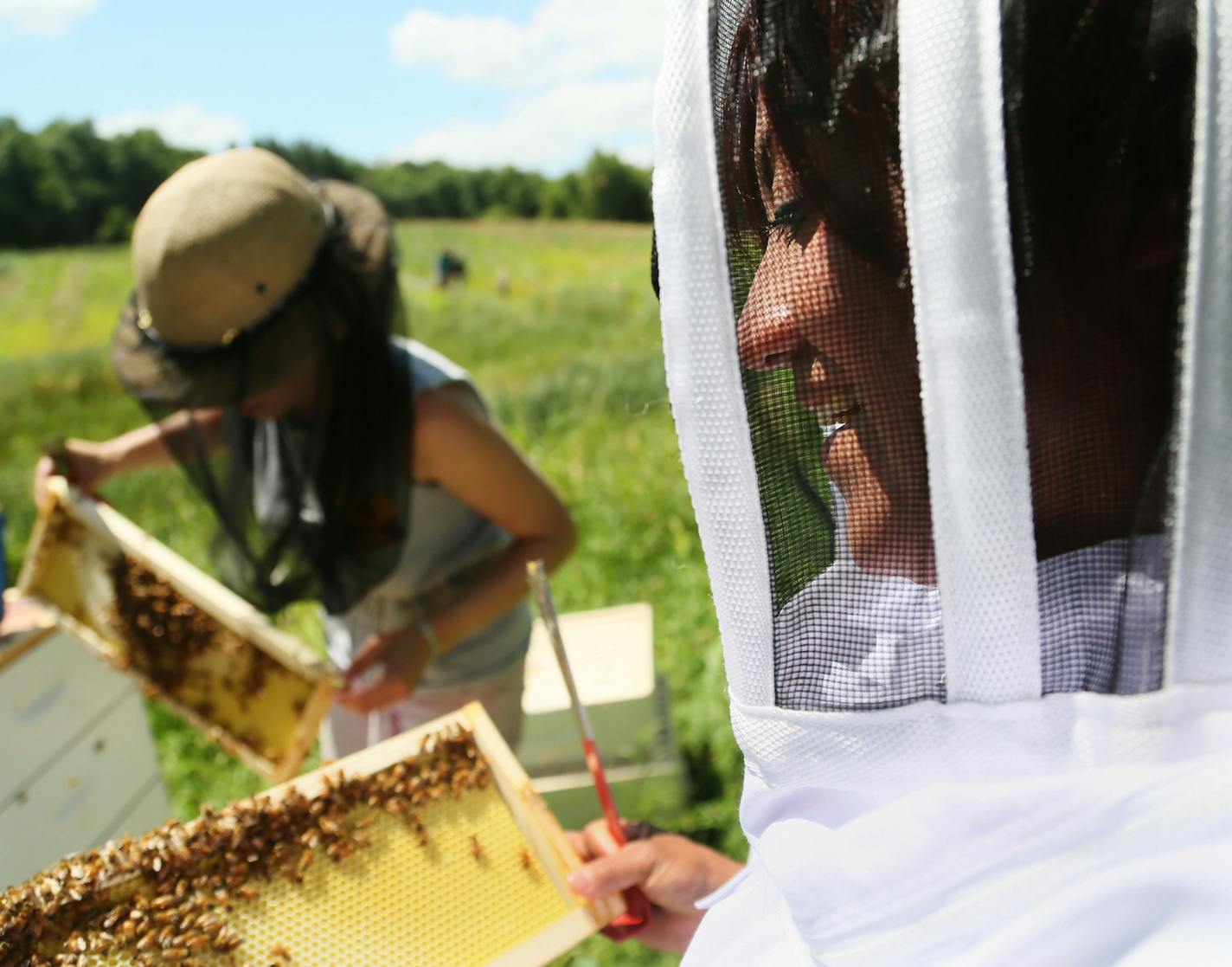 Five women and one teenager make up the Reinas de Miel, a group whose members are paid to work at beehives in Lakeville every Thursday.