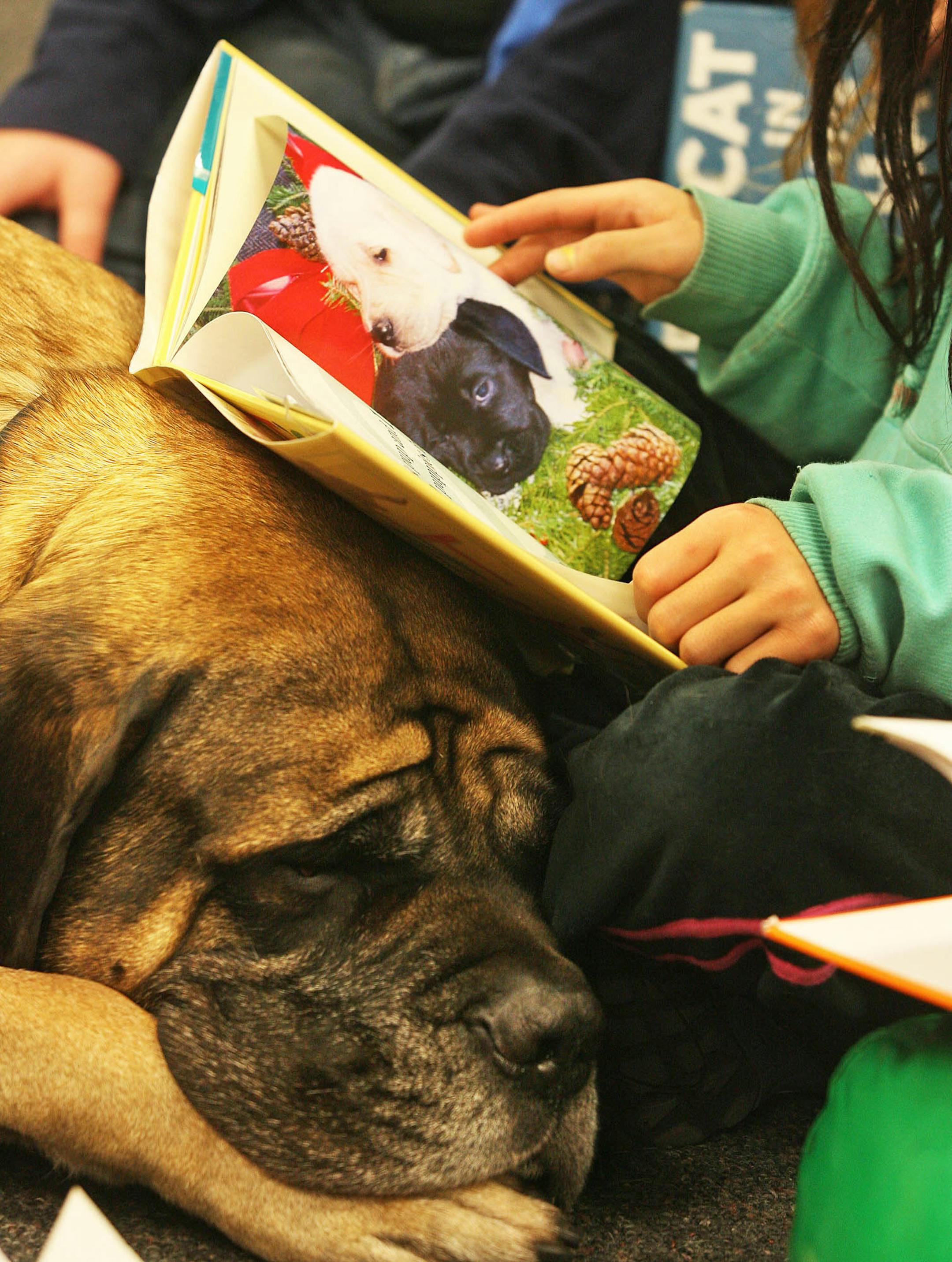 "The excitement was palpable," said Mounds View children's librarian Ann Wahlstrom. "Anything to get kids excited about reading and about being at the library."