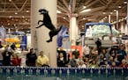 2001: Spectators watch as dogs practiced jumping and retrieving buoys at the Dockdogs booth. Dogs launched from a 40-foot dock into a pool with 26,000
