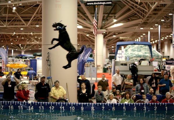 2001: Spectators watch as dogs practiced jumping and retrieving buoys at the Dockdogs booth. Dogs launched from a 40-foot dock into a pool with 26,000