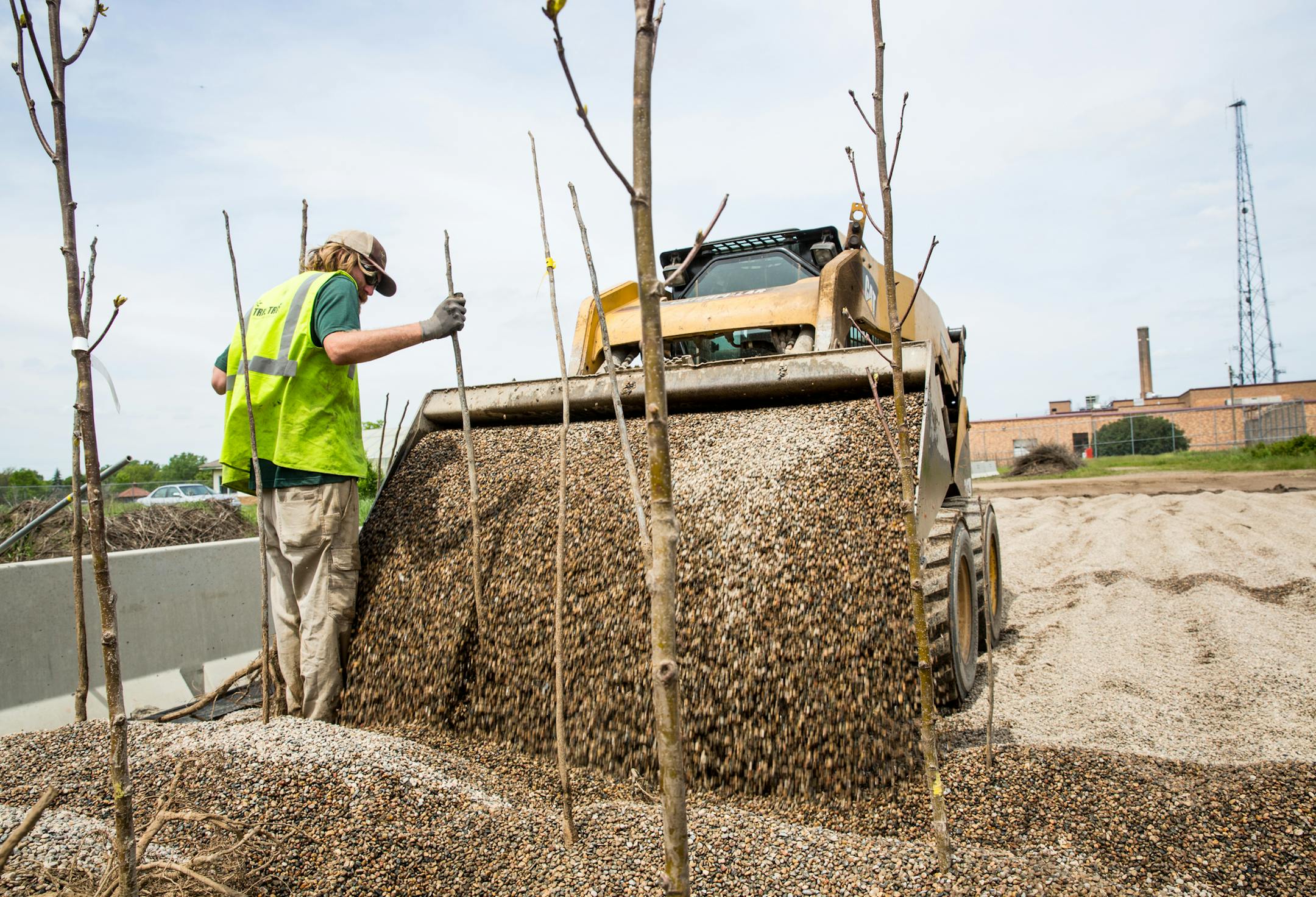 Matt Ronald, Hennepin County forester