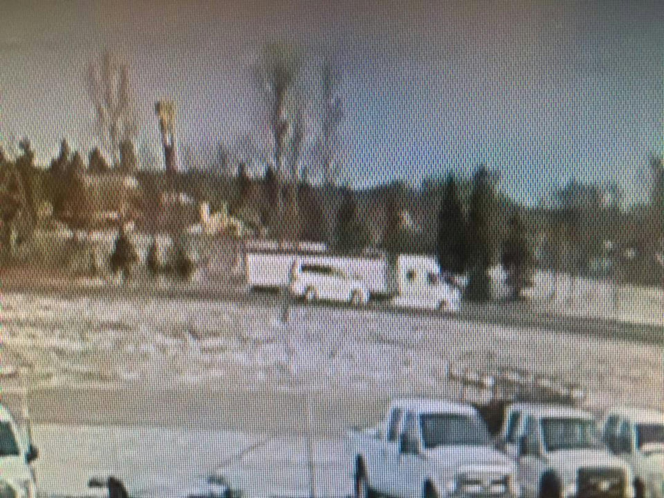 Authorities are seeking help locating this truck, which may have struck a person who reportedly jumped from an overpass onto Interstate 94 and was killed.